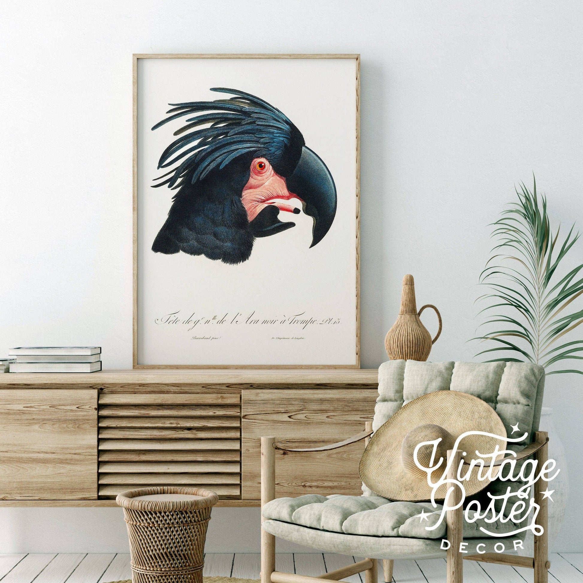 Black Cockatoo Print, Parrot Wall Art, Vintage Bird Poster