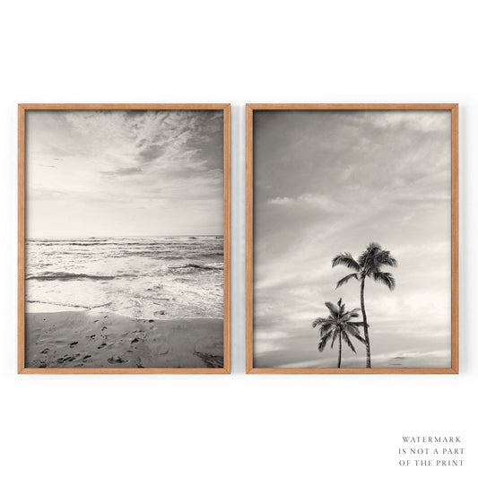Black White Beach Photo, Palm Tree Print, Coastal Set of 2, Ocean and Sand
