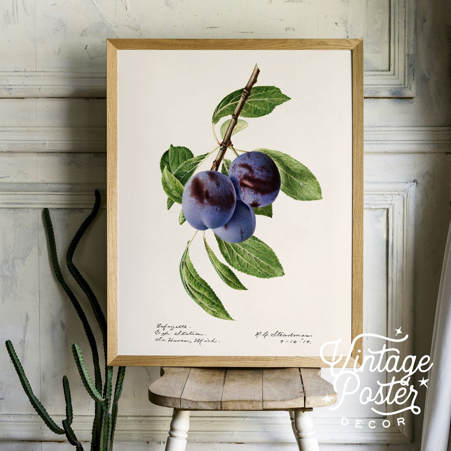 Blueberry Print, Vintage Fruit Poster, Botanical Fruit Art