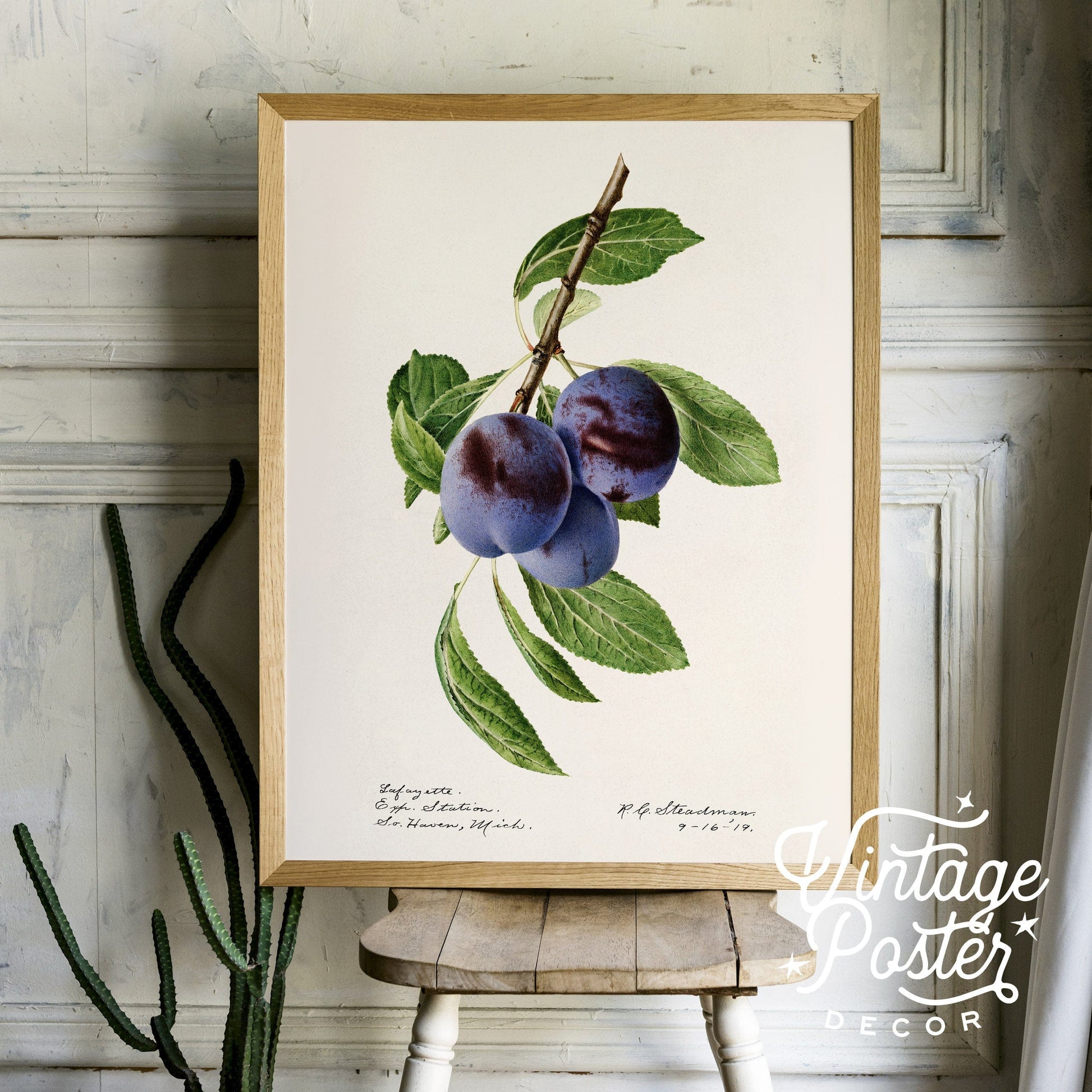 Blueberry Print, Vintage Fruit Poster, Botanical Fruit Art