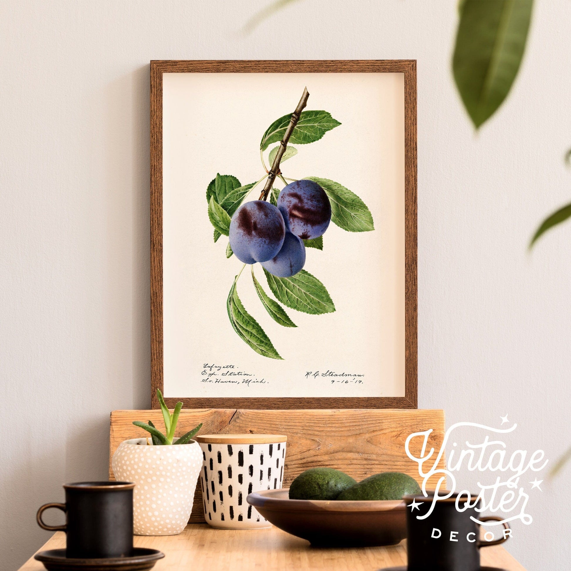 Blueberry Print, Vintage Fruit Poster, Botanical Fruit Art