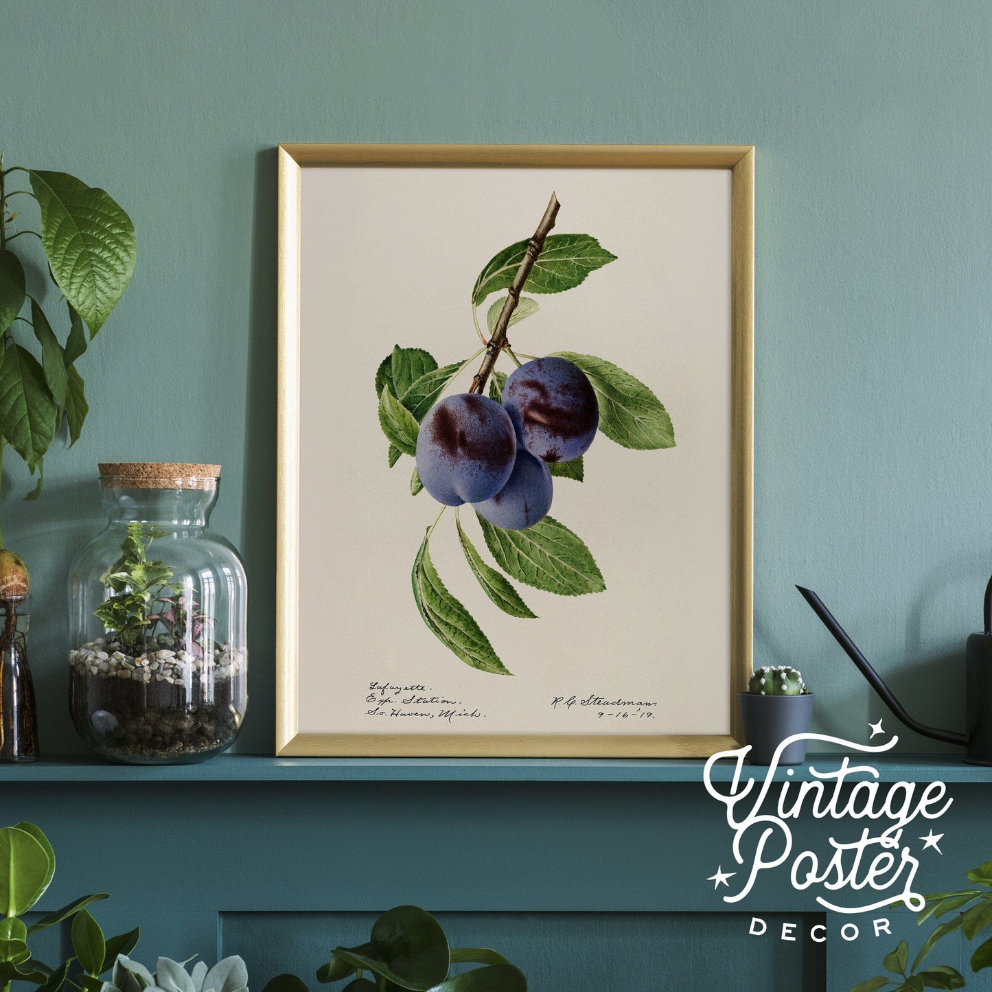 Blueberry Print, Vintage Fruit Poster, Botanical Fruit Art