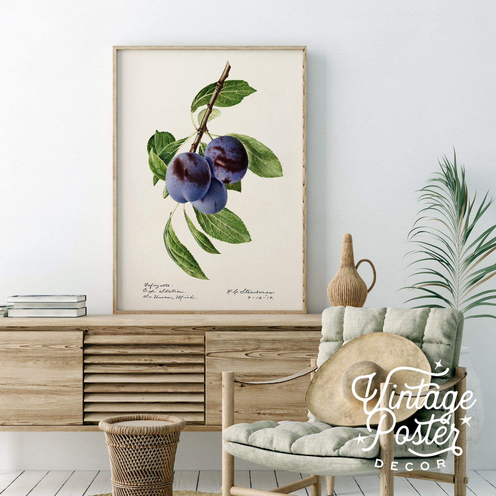 Blueberry Print, Vintage Fruit Poster, Botanical Fruit Art