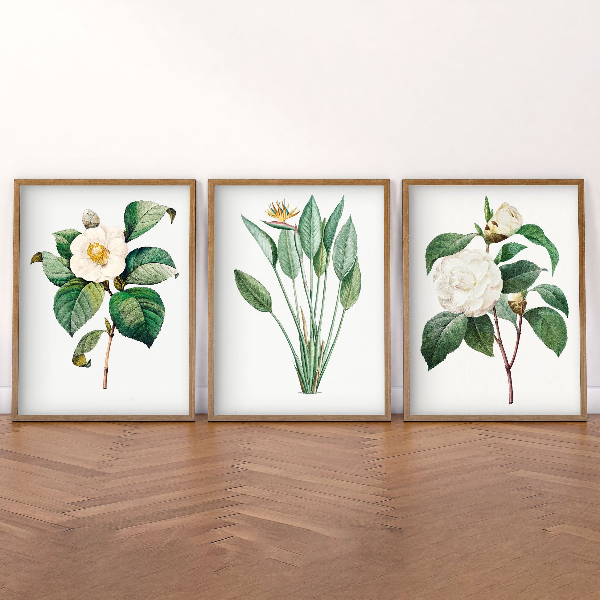 Botanical Gallery Wall Art, Antique Flower Paintings 03