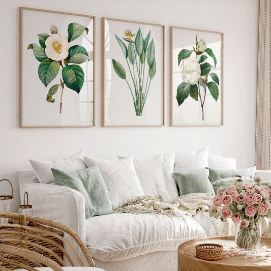 Botanical gallery wall art set featuring vintage camellia, bird of paradise, and white rose prints with lush green leaves.