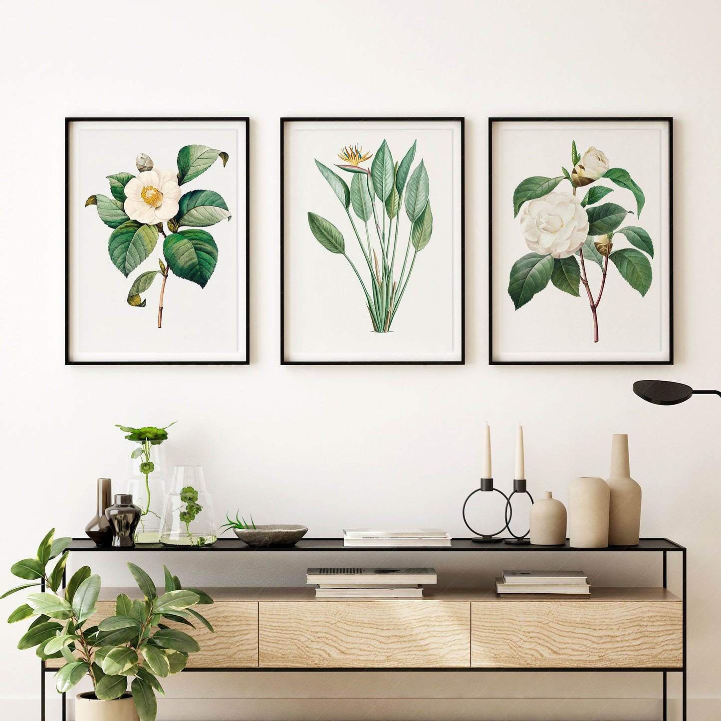 Botanical Gallery Wall Art, Antique Flower Paintings 03