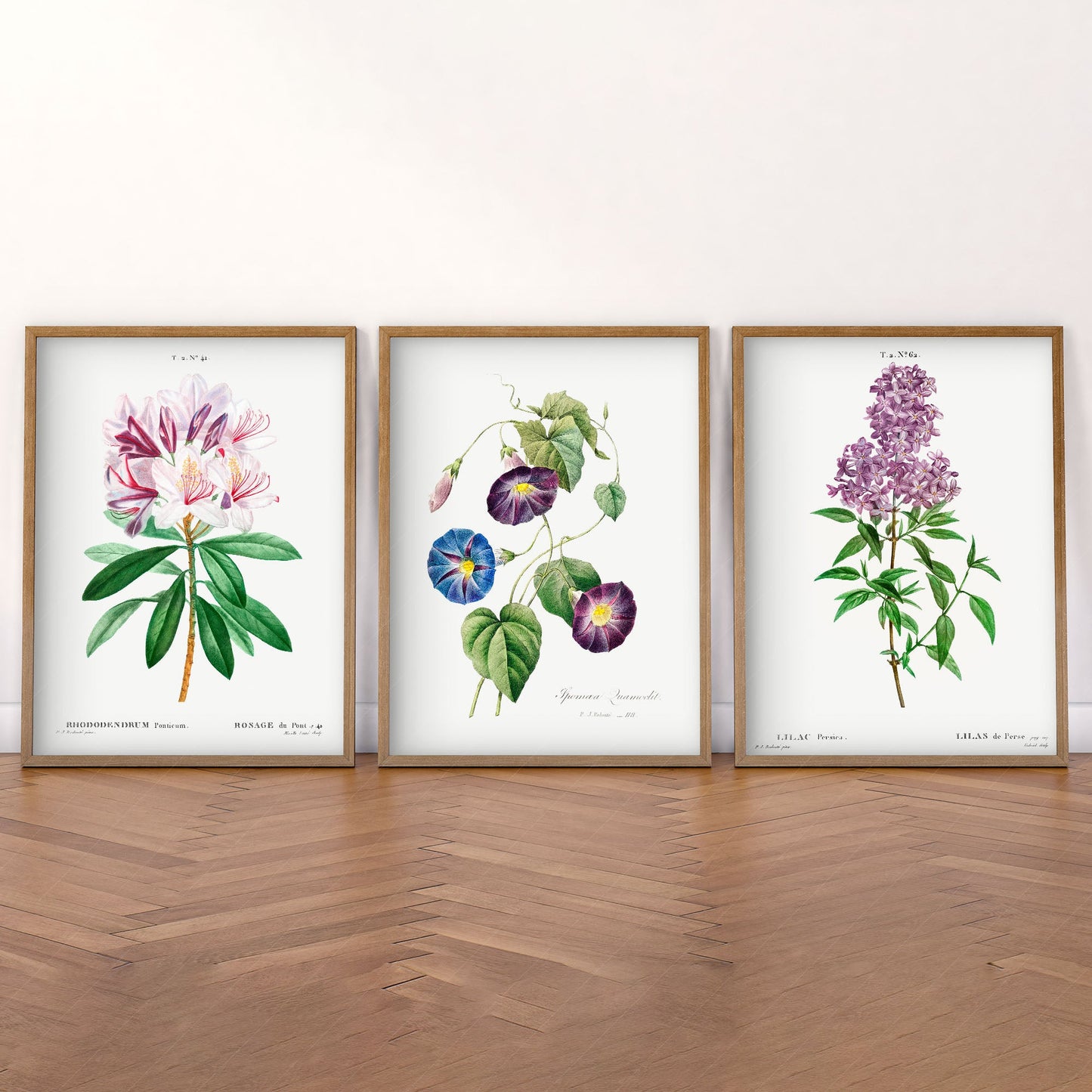 Botanical Gallery Wall Art, Set of 3 Prints, Antique Flowers Paintings 08