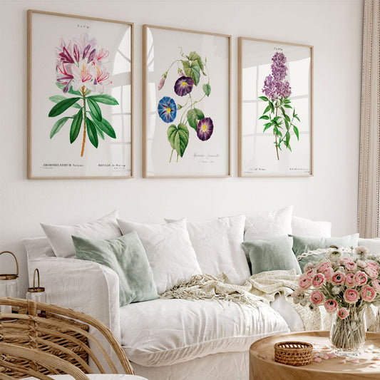 Vintage botanical wall art set of three prints featuring rhododendron, morning glory, and lilac floral illustrations.