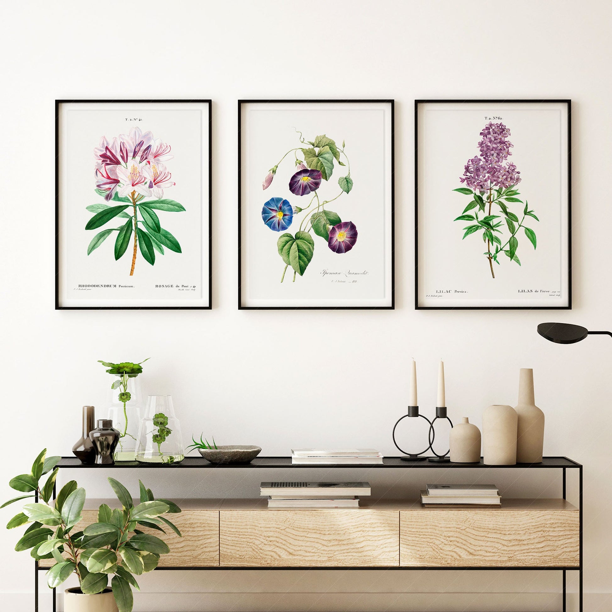 Botanical Gallery Wall Art, Set of 3 Prints, Antique Flowers Paintings 08