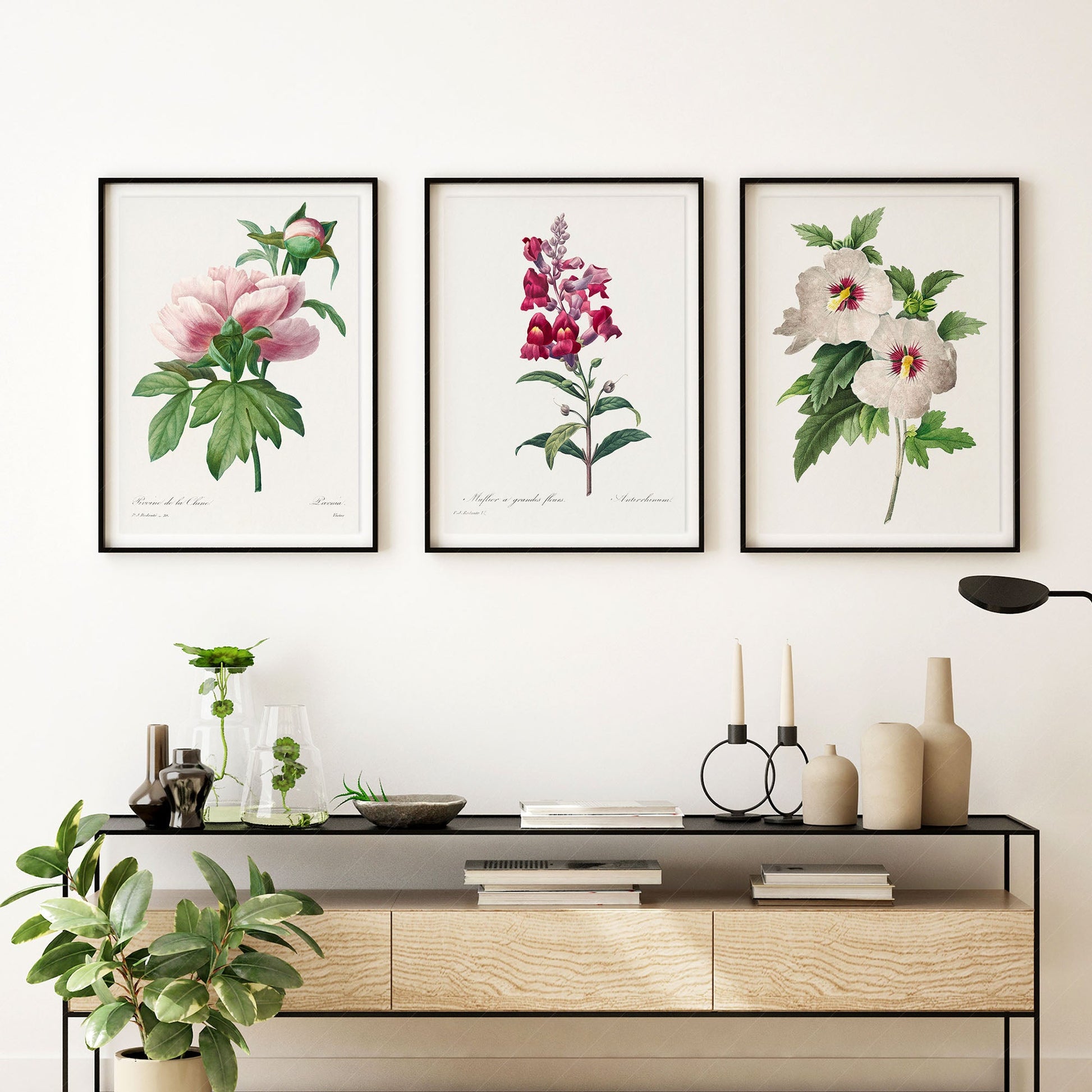 Botanical Gallery Wall Art, Set of 3 Prints, Antique Flowers Paintings 11