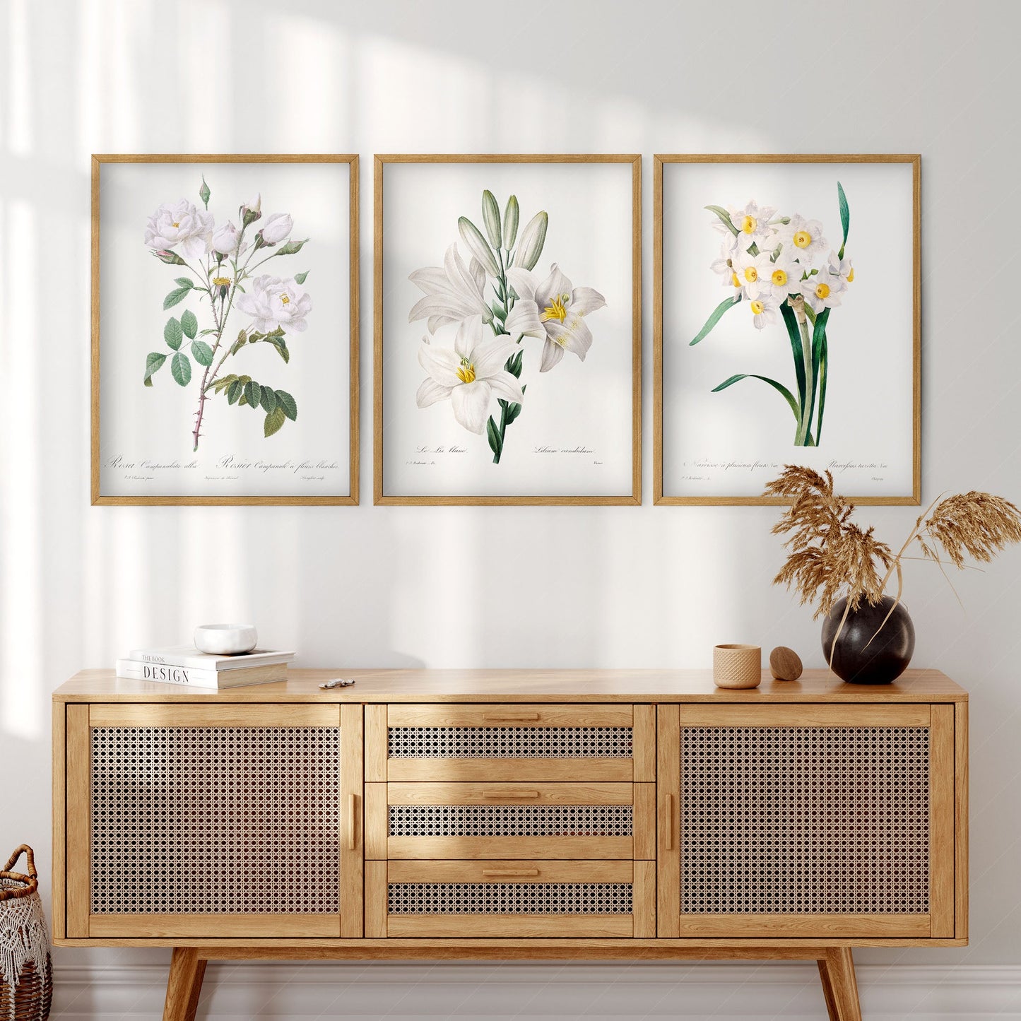 Botanical Gallery Wall Art, Set of 3 Prints, Antique White Flower Paintings 05