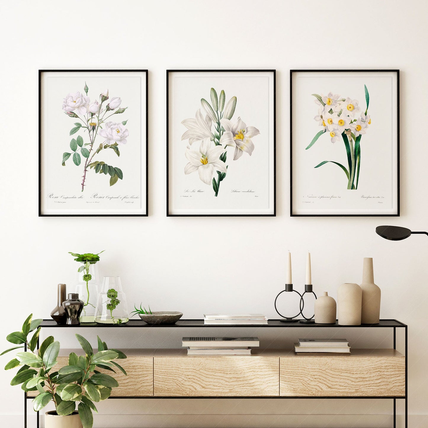 Botanical Gallery Wall Art, Set of 3 Prints, Antique White Flower Paintings 05