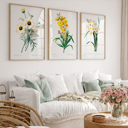 Botanical gallery wall set of three vintage flower art prints featuring chrysanthemum, wallflower, and narcissus illustrations.