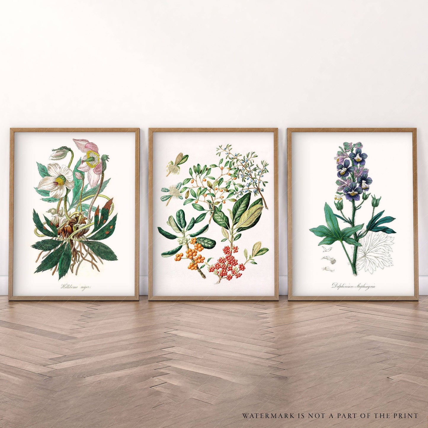 Botanical Gallery Wall, Set of 3 Prints, Antique Flower Paintings