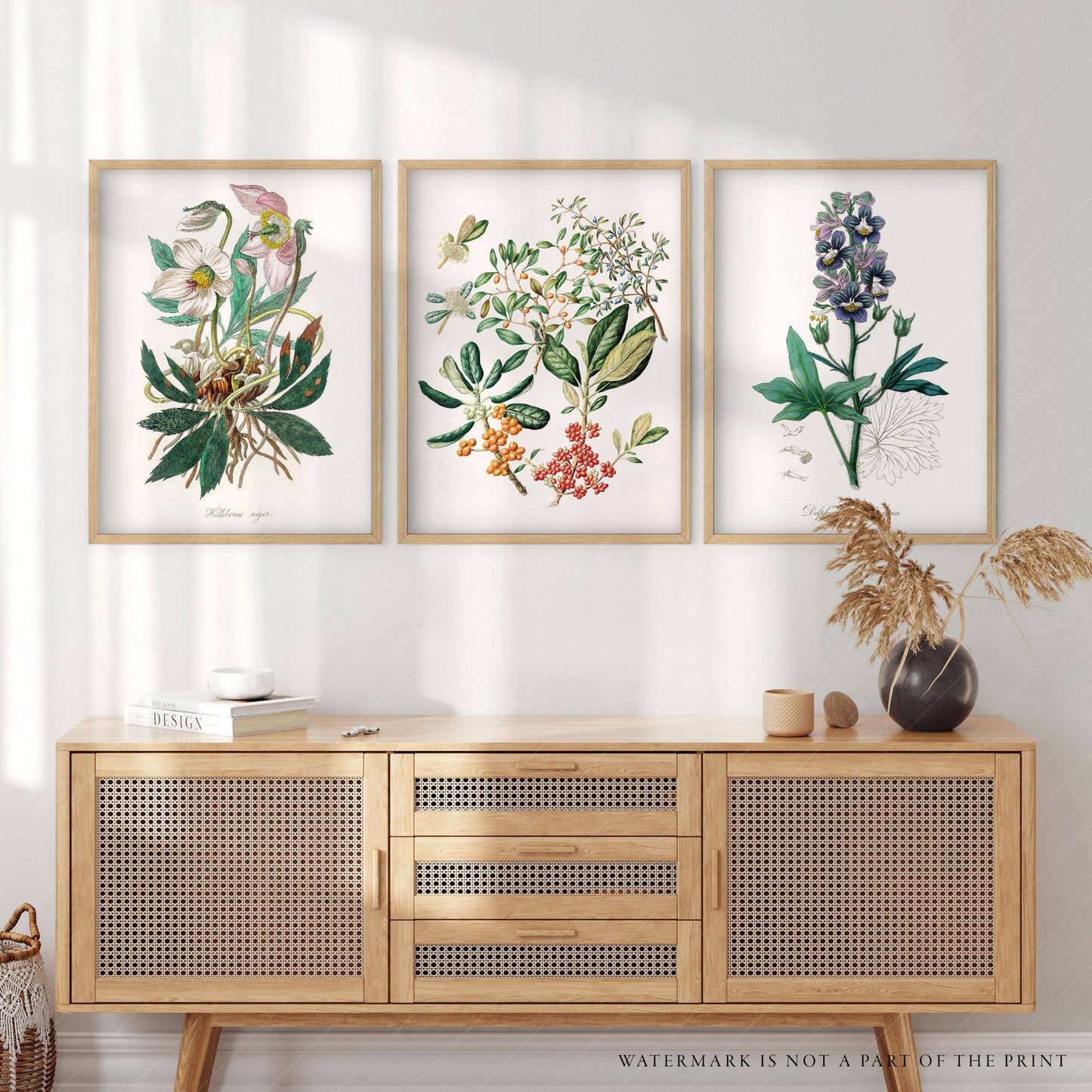 Botanical Gallery Wall, Set of 3 Prints, Antique Flower Paintings