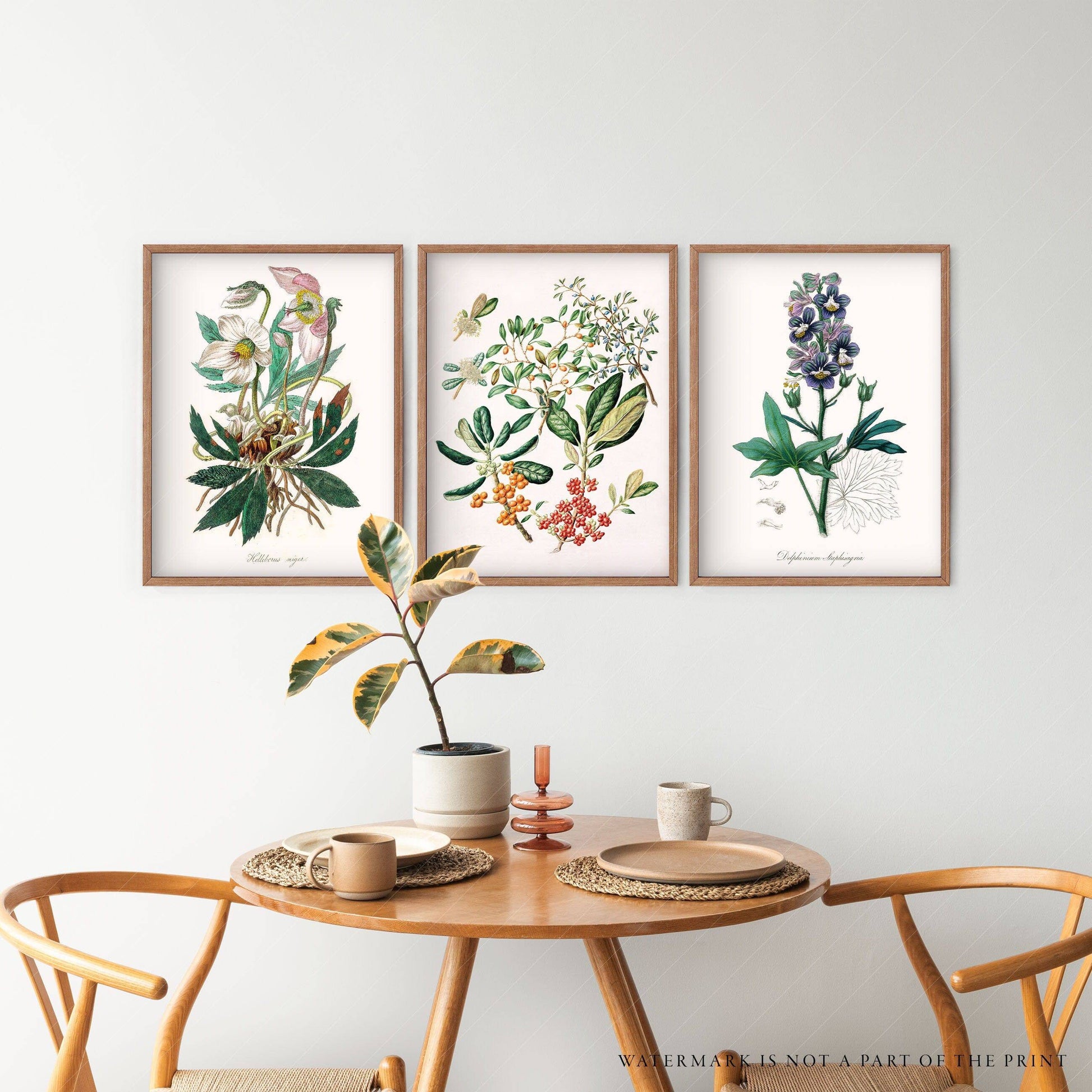 Botanical Gallery Wall, Set of 3 Prints, Antique Flower Paintings