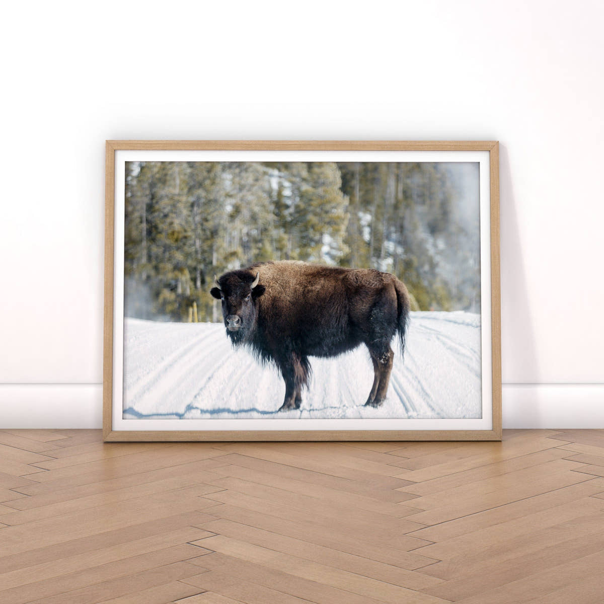 Buffalo Print, Bison Photography, Winter landscape Poster