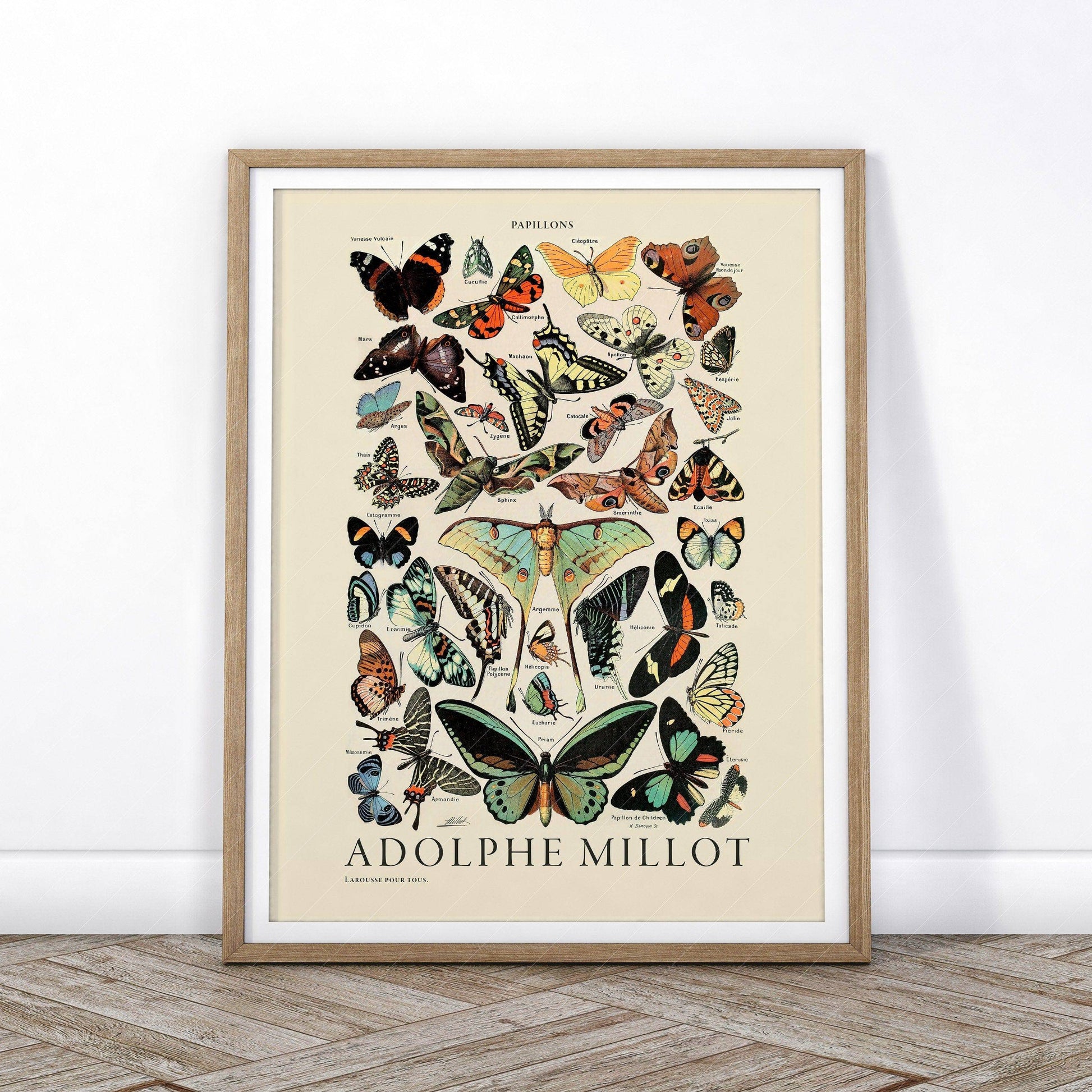 Butterfly Print, Adolphe Millot Poster