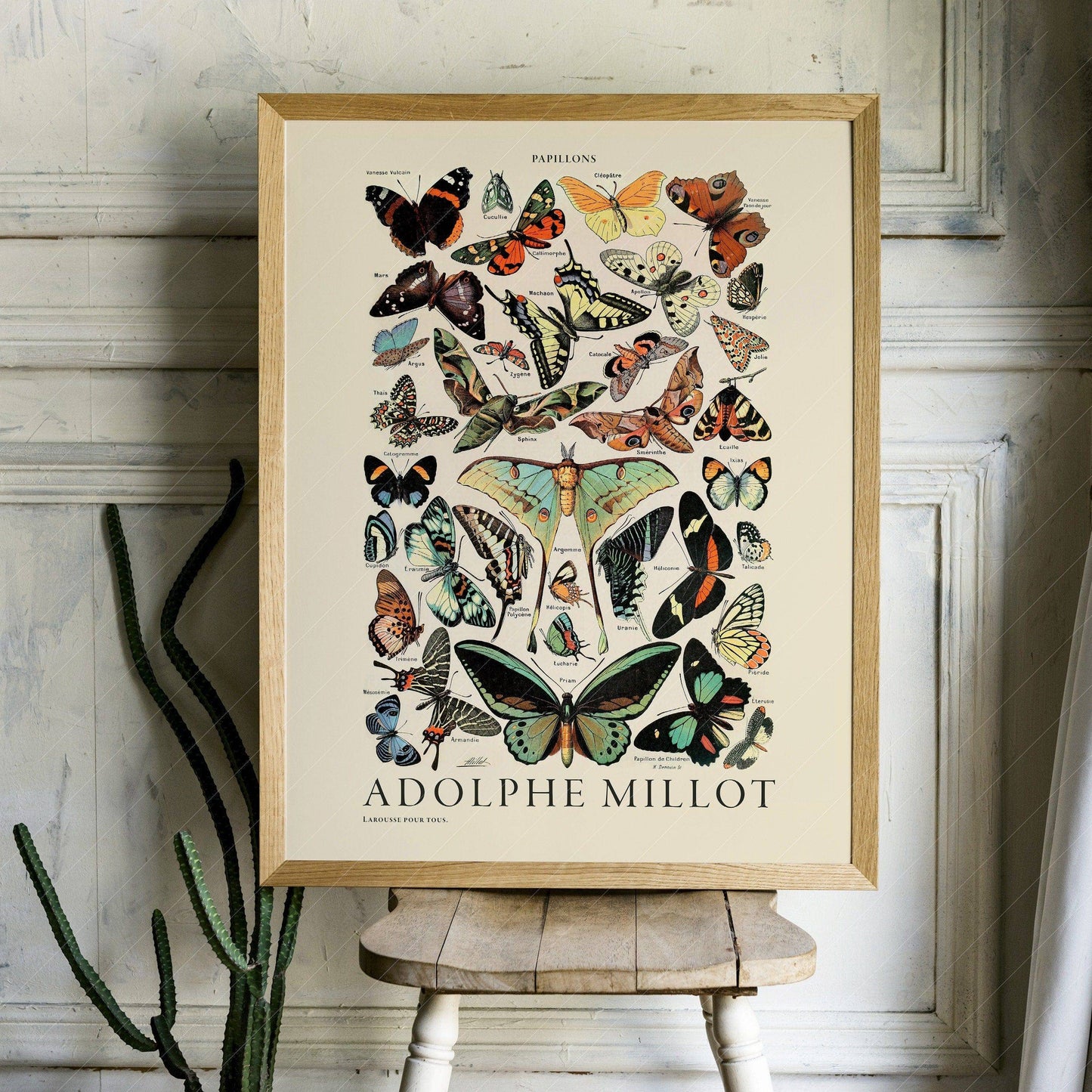 Butterfly Print, Adolphe Millot Poster