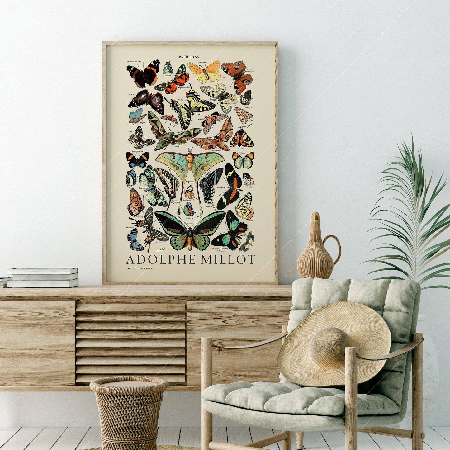 Butterfly Print, Adolphe Millot Poster