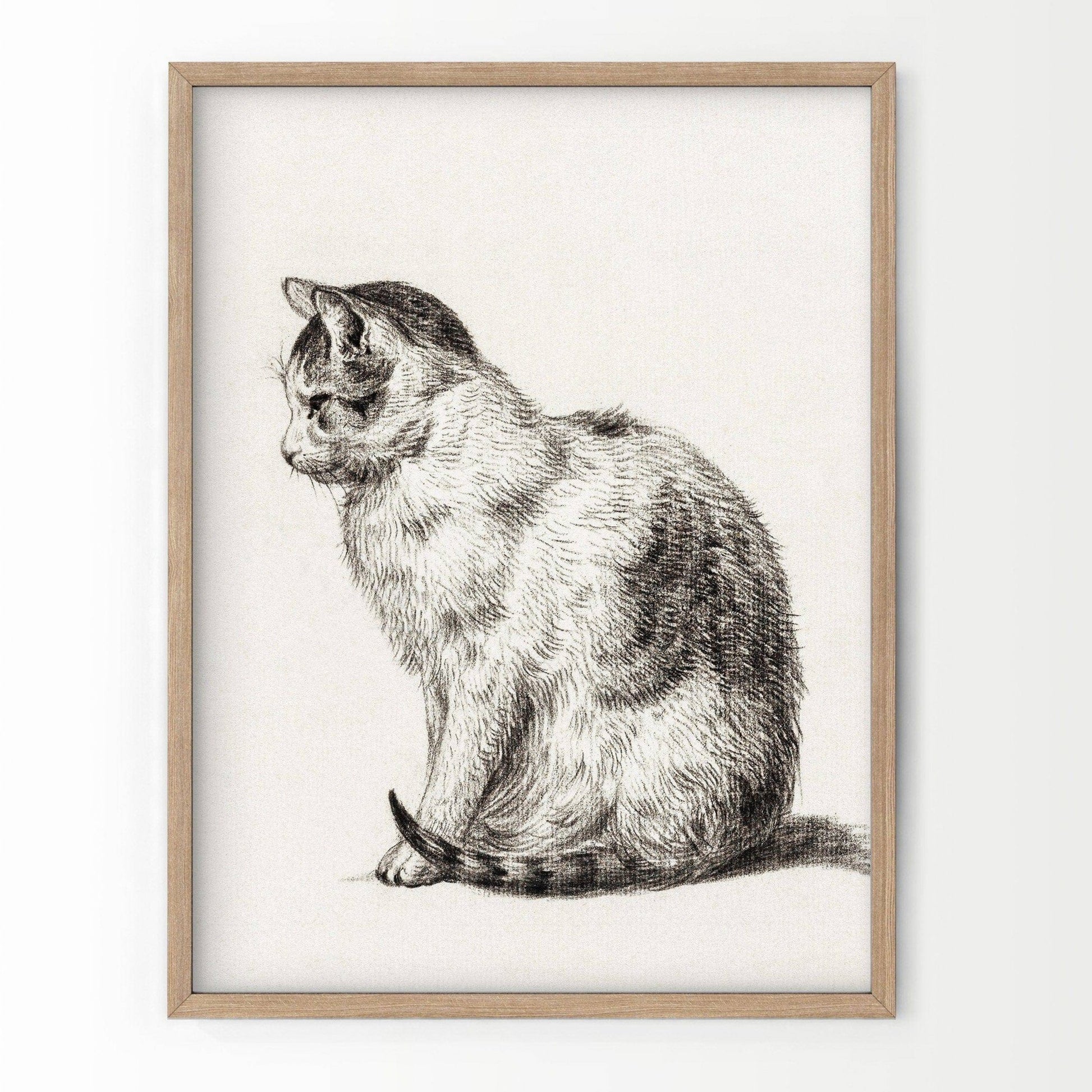Cat Lover Gift, Cat Print, Cat Artwork, Pet Wall Art, Pet Cat Poster, Cat Vintage, Cat Portrait, Animal Wall Art, Vintage Cat