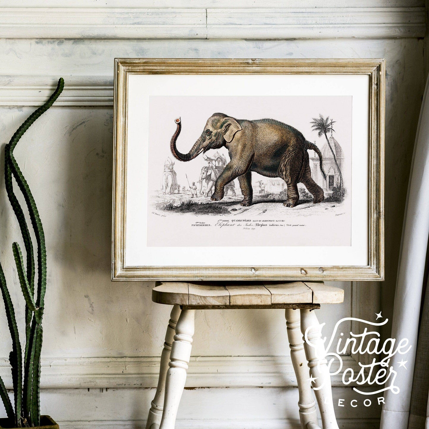 Elephant Print, Vintage Animal Poster, Animal Print, Nursery Animals, Charles Dessalines, Vintage Elephant Wall Art, High Quality Paper