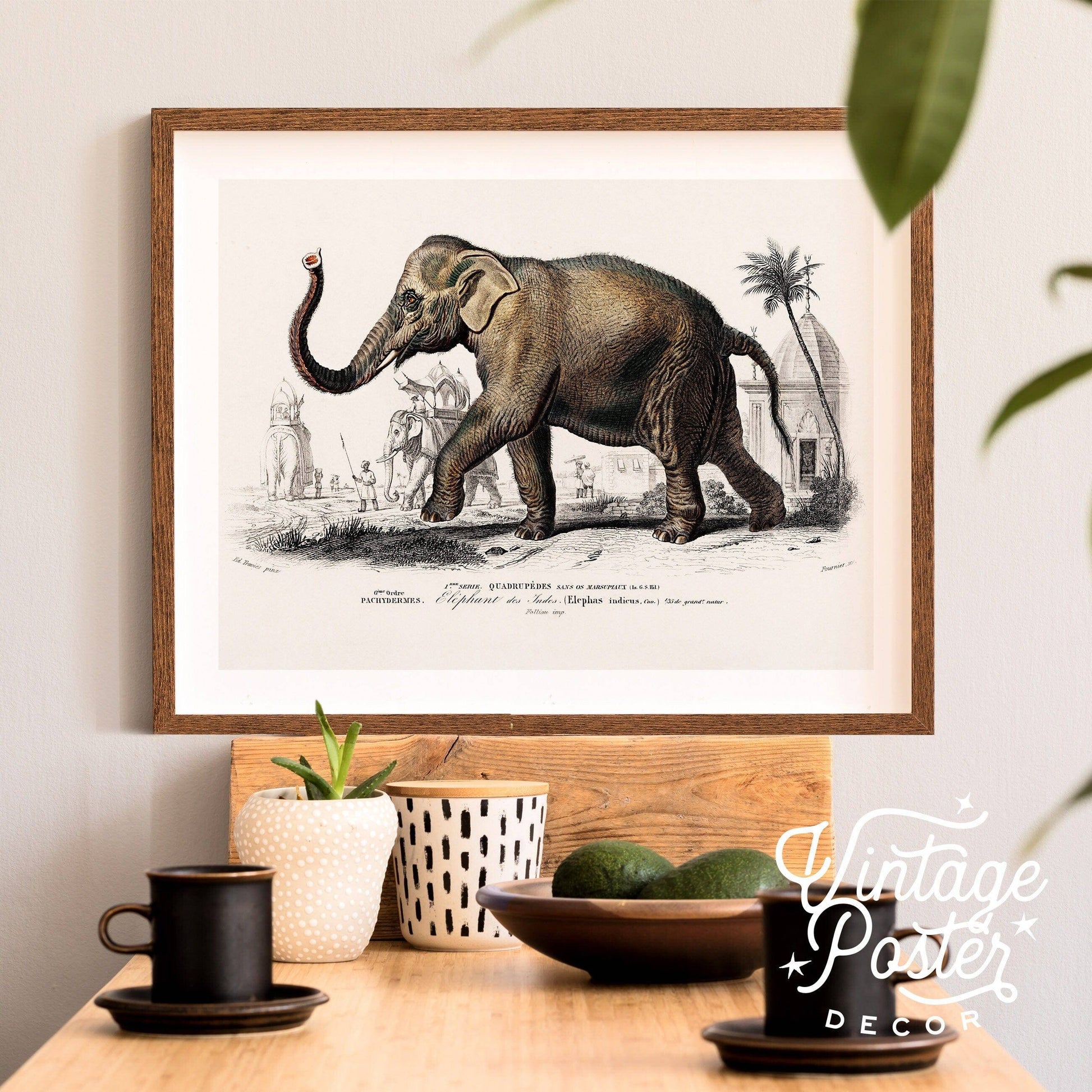 Elephant Print, Vintage Animal Poster, Animal Print, Nursery Animals, Charles Dessalines, Vintage Elephant Wall Art, High Quality Paper