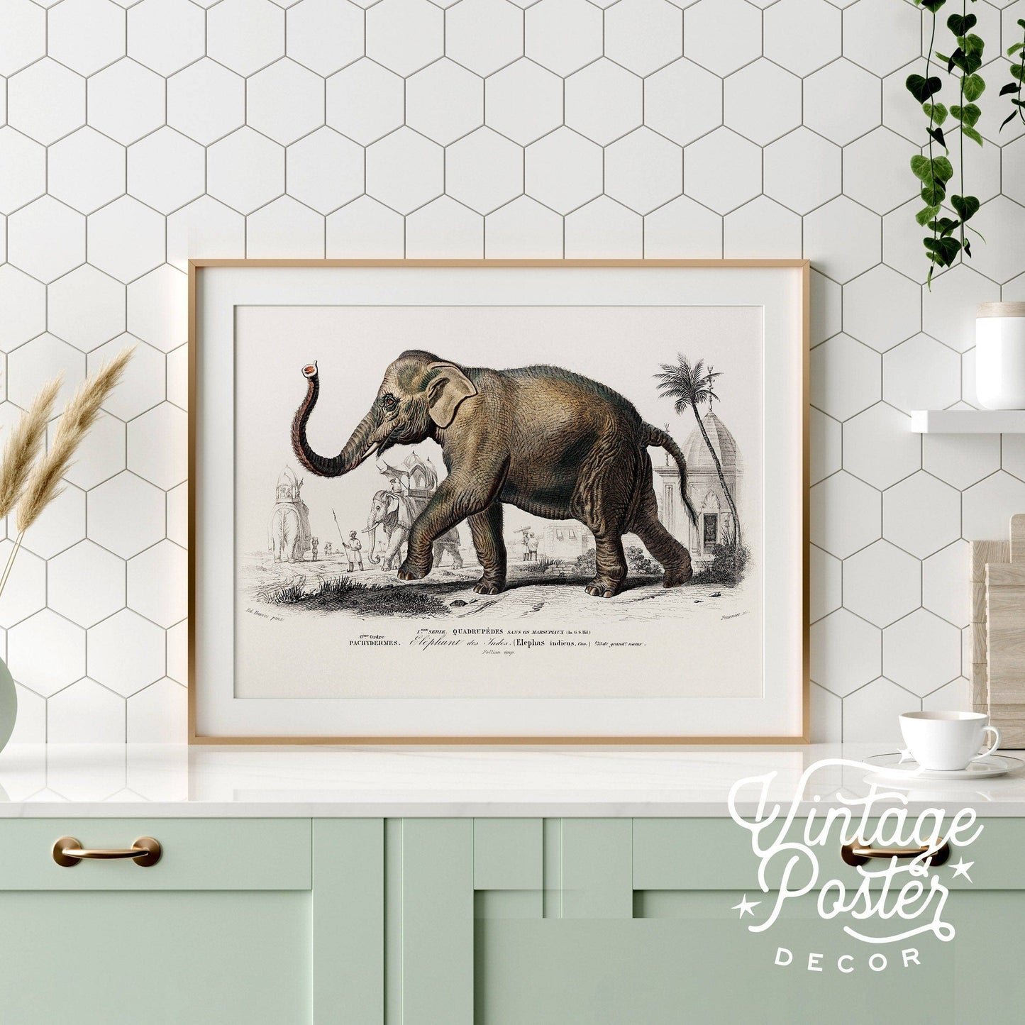 Elephant Print, Vintage Animal Poster, Animal Print, Nursery Animals, Charles Dessalines, Vintage Elephant Wall Art, High Quality Paper