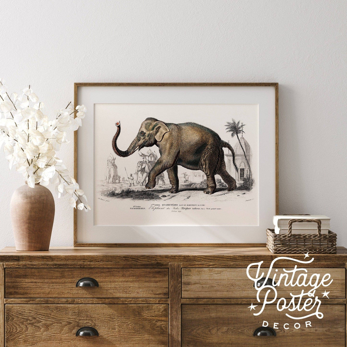 Elephant Print, Vintage Animal Poster, Animal Print, Nursery Animals, Charles Dessalines, Vintage Elephant Wall Art, High Quality Paper