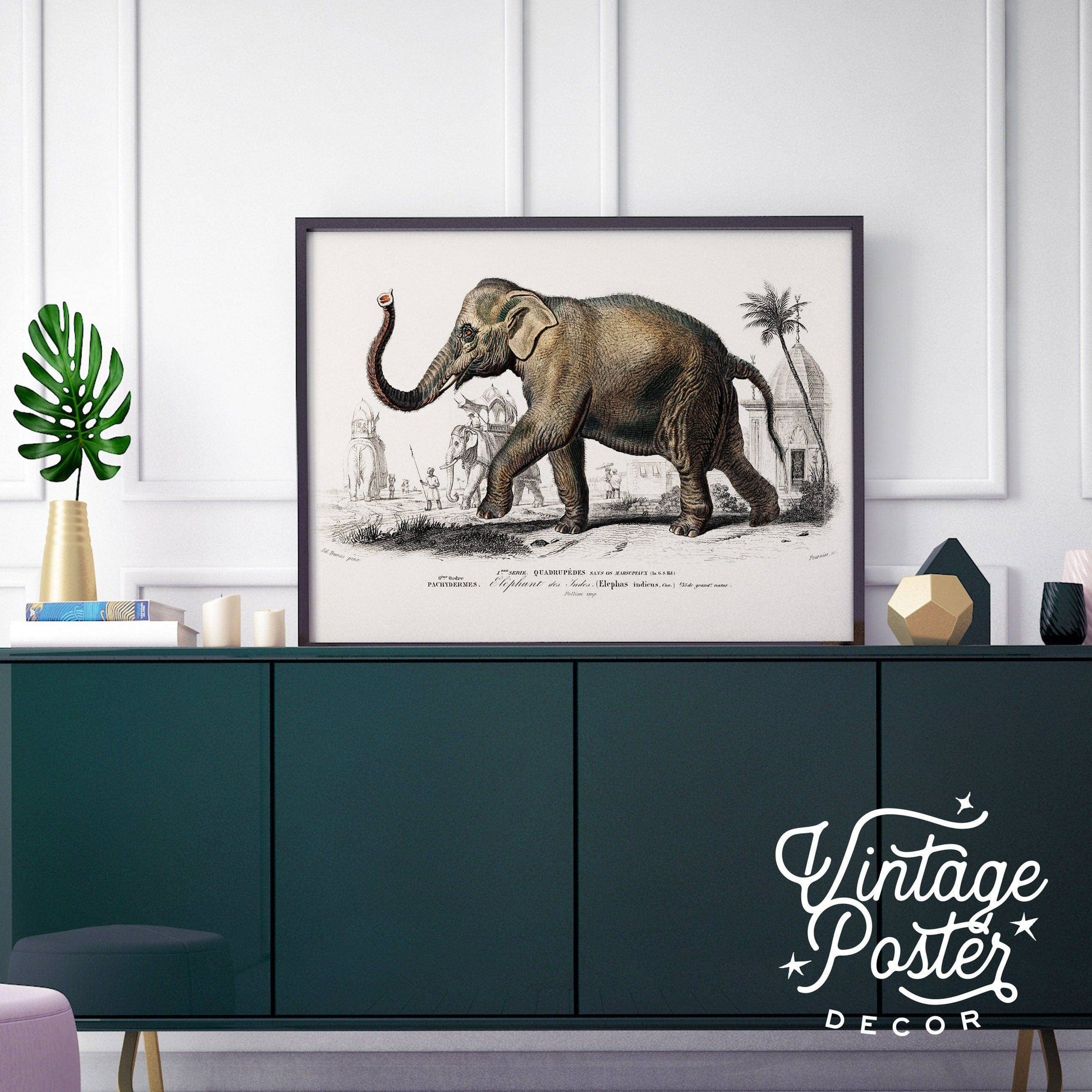 Elephant Print, Vintage Animal Poster, Animal Print, Nursery Animals, Charles Dessalines, Vintage Elephant Wall Art, High Quality Paper