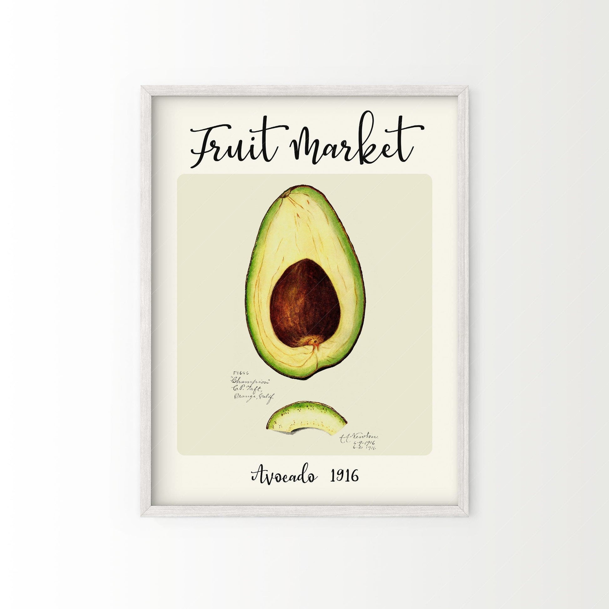 Fruit Market Print, Farmhouse Decor, Antique Avocado Painting