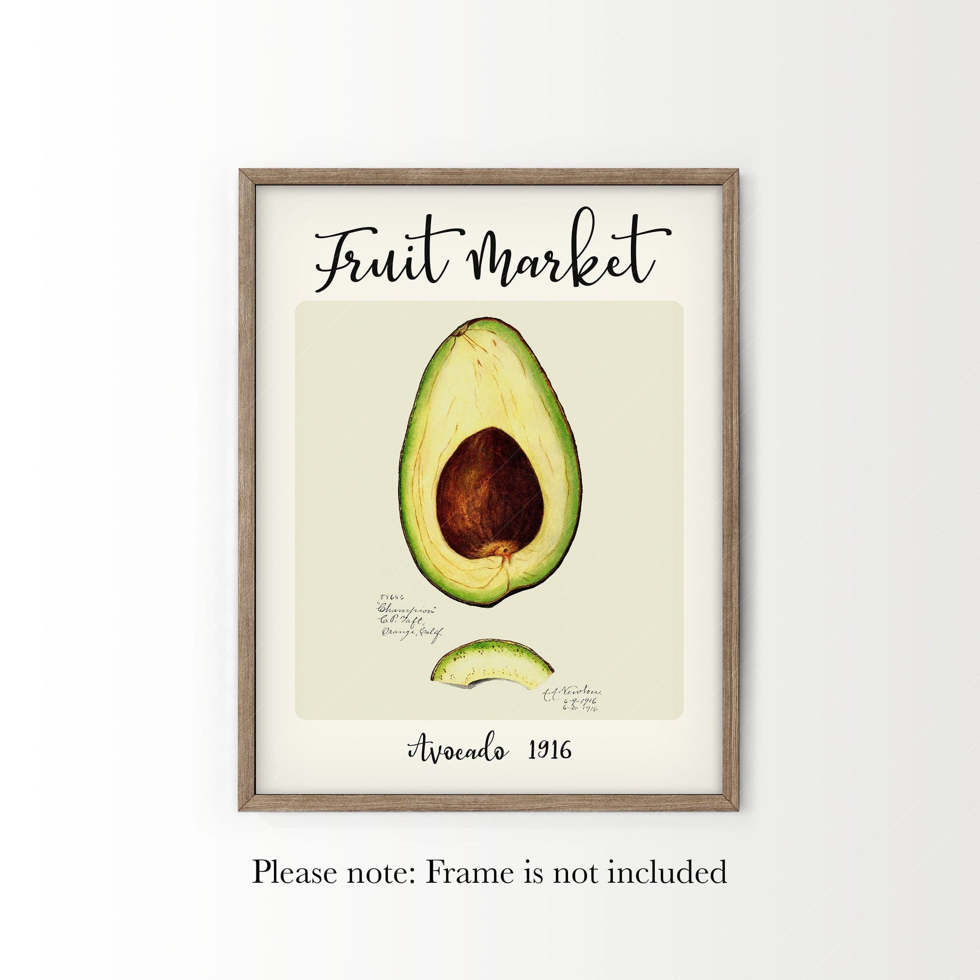 Fruit Market Print, Farmhouse Decor, Antique Avocado Painting