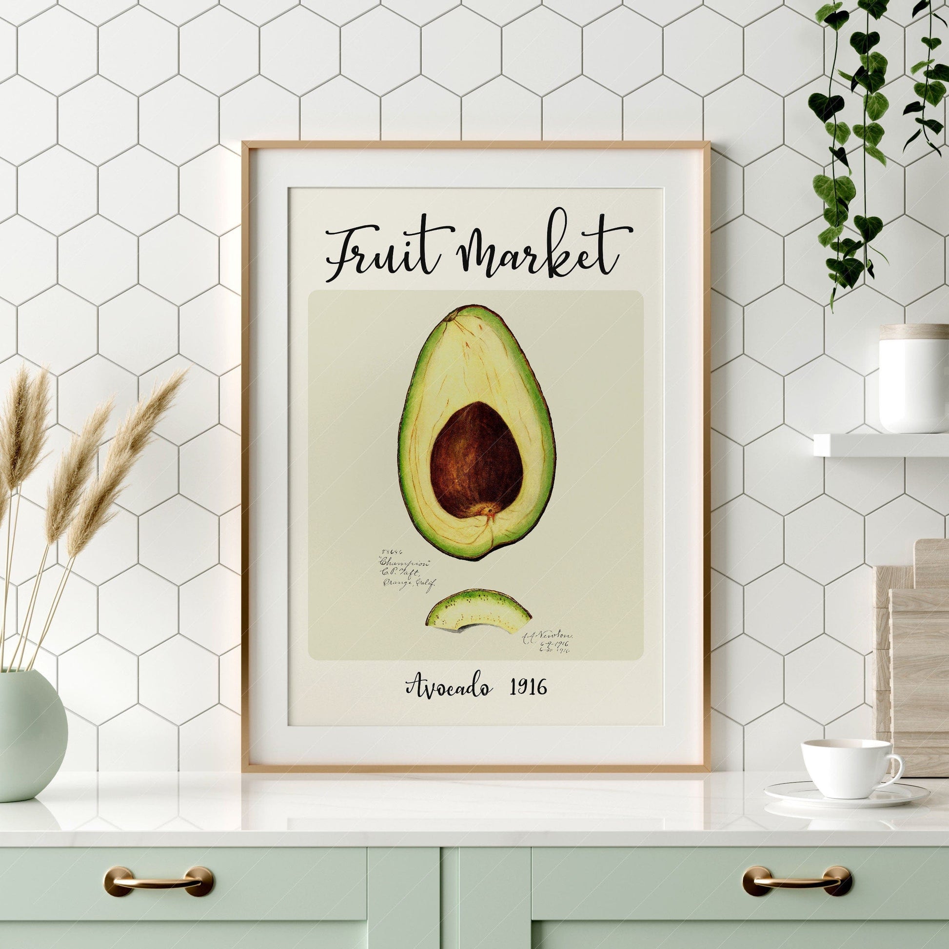 Fruit Market Print, Farmhouse Decor, Antique Avocado Painting