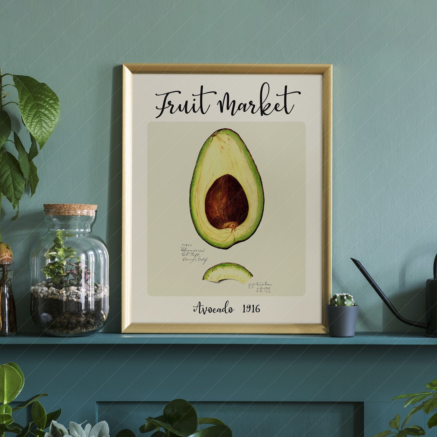 Fruit Market Print, Farmhouse Decor, Antique Avocado Painting