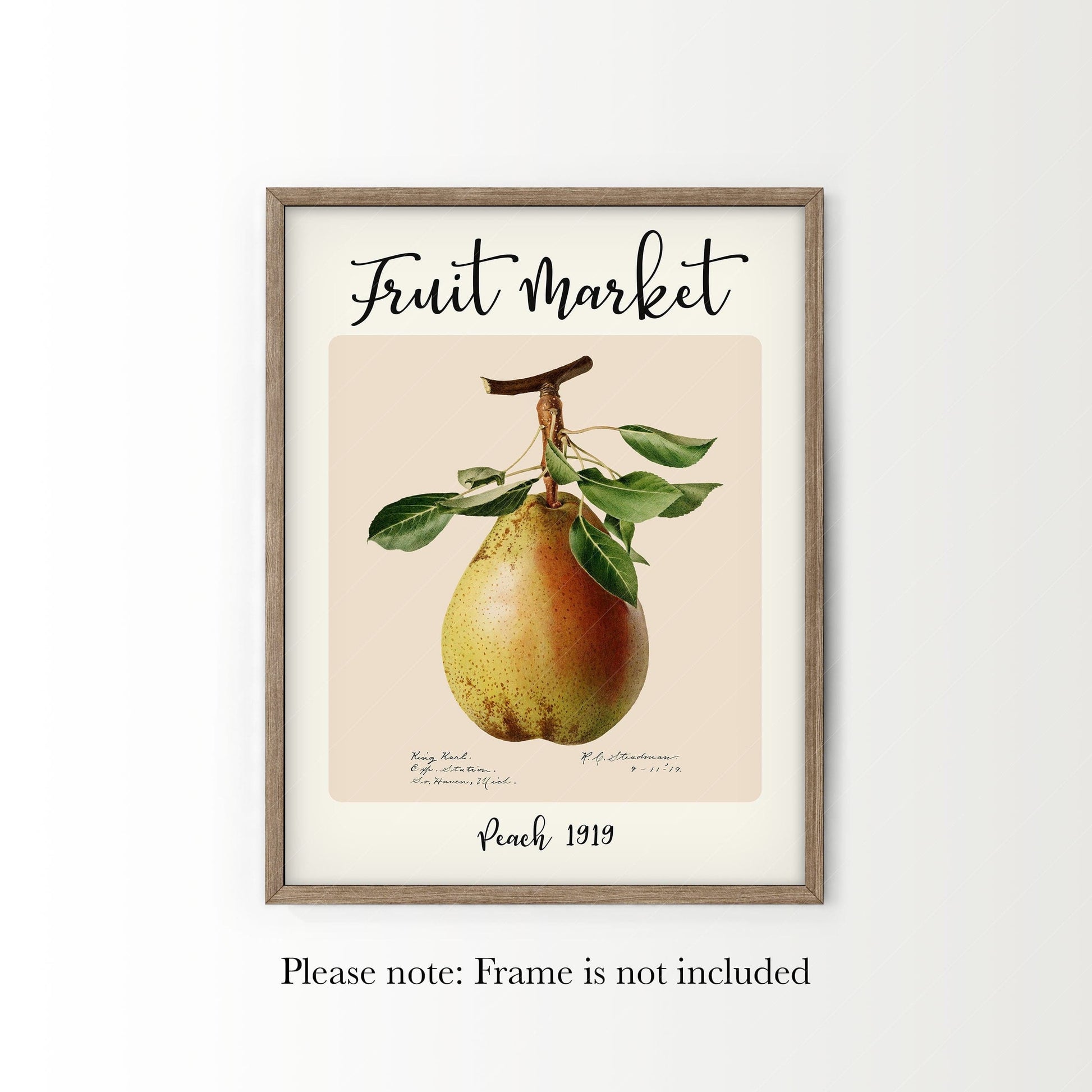 Fruit Market Print, Farmhouse Decor, Antique Pear Fruit Painting