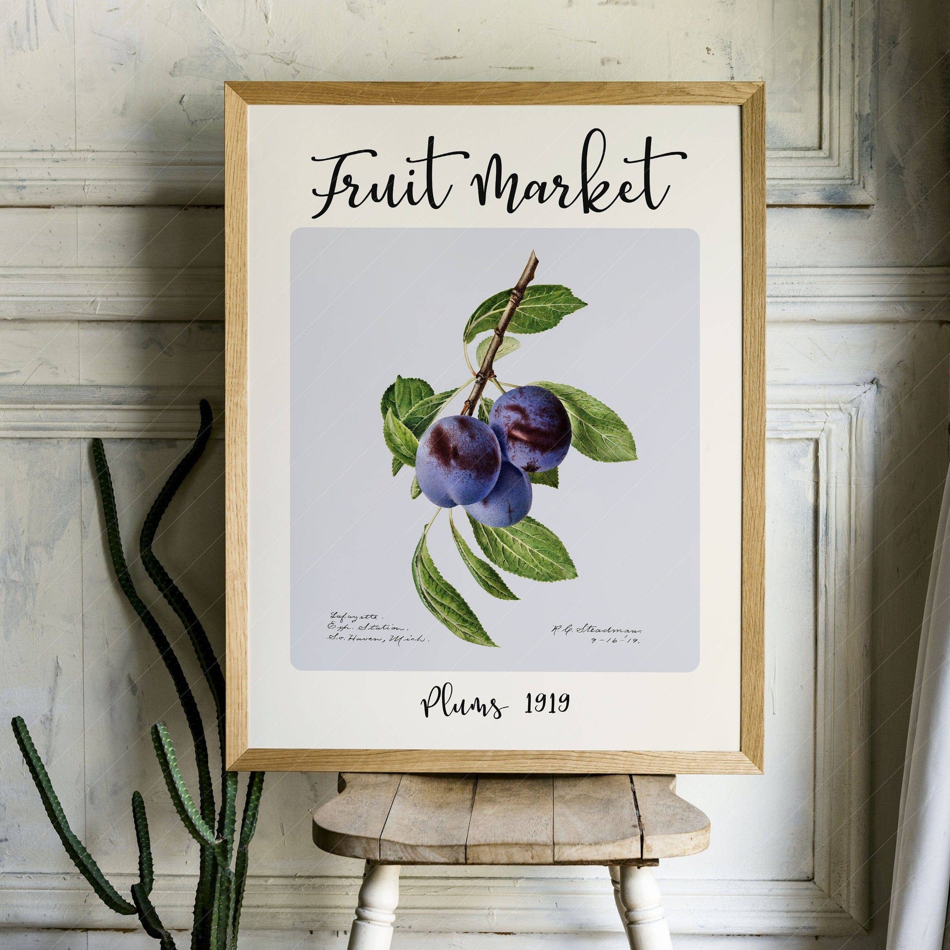 Fruit Market Print, Farmhouse Decor, Antique Plums Painting