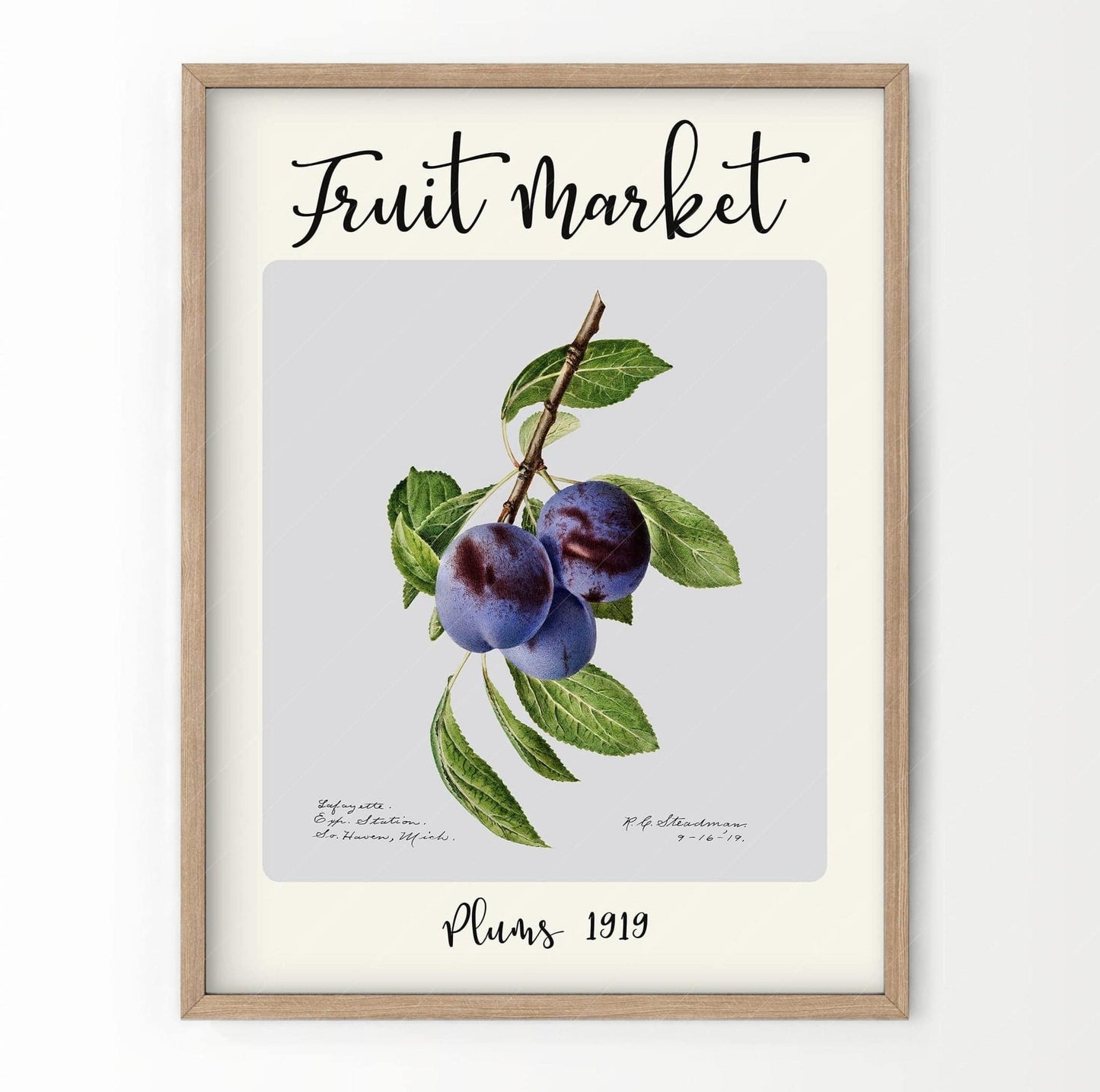 Fruit Market Print, Farmhouse Decor, Antique Plums Painting