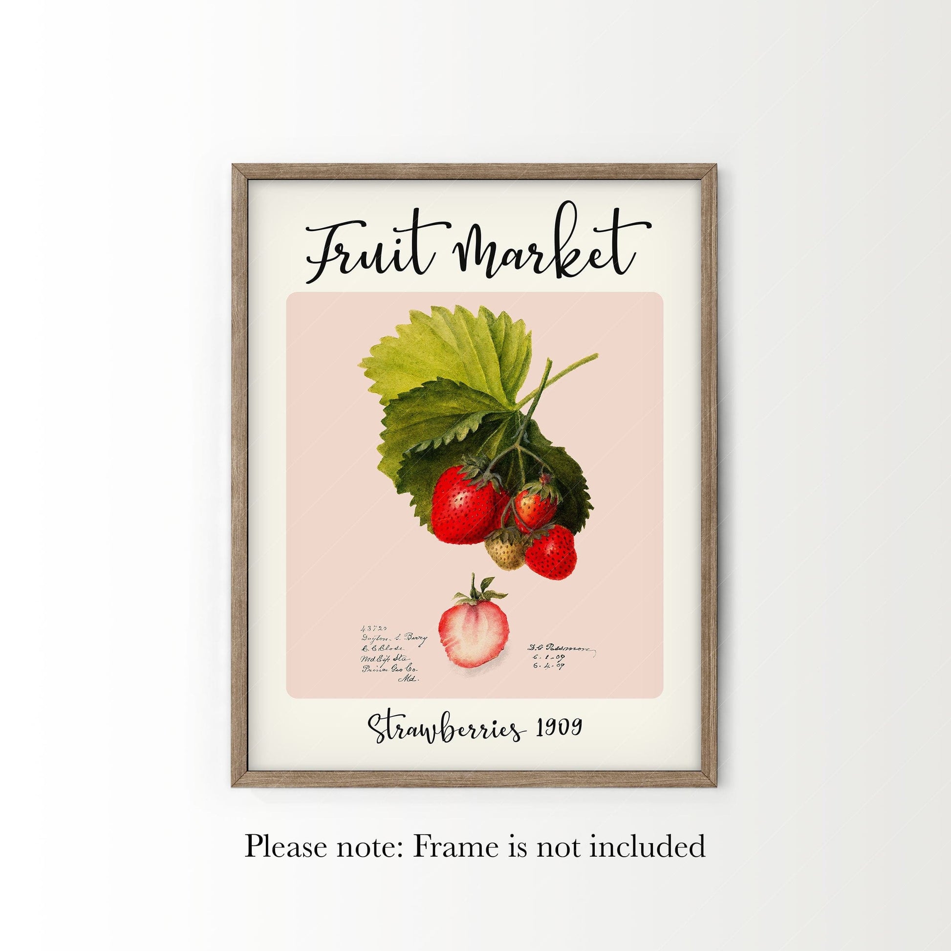 Fruit Market Print, Farmhouse Decor, Antique Strawberry Painting