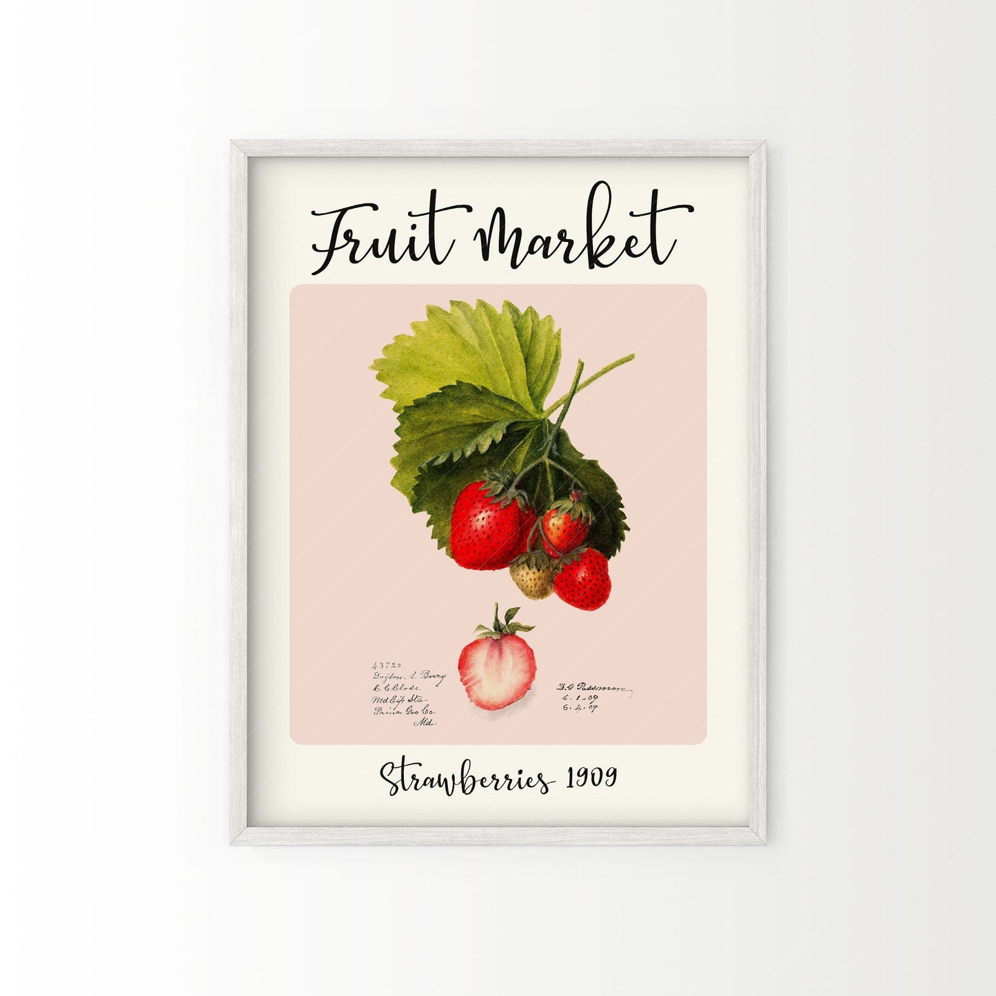 Fruit Market Print, Farmhouse Decor, Antique Strawberry Painting