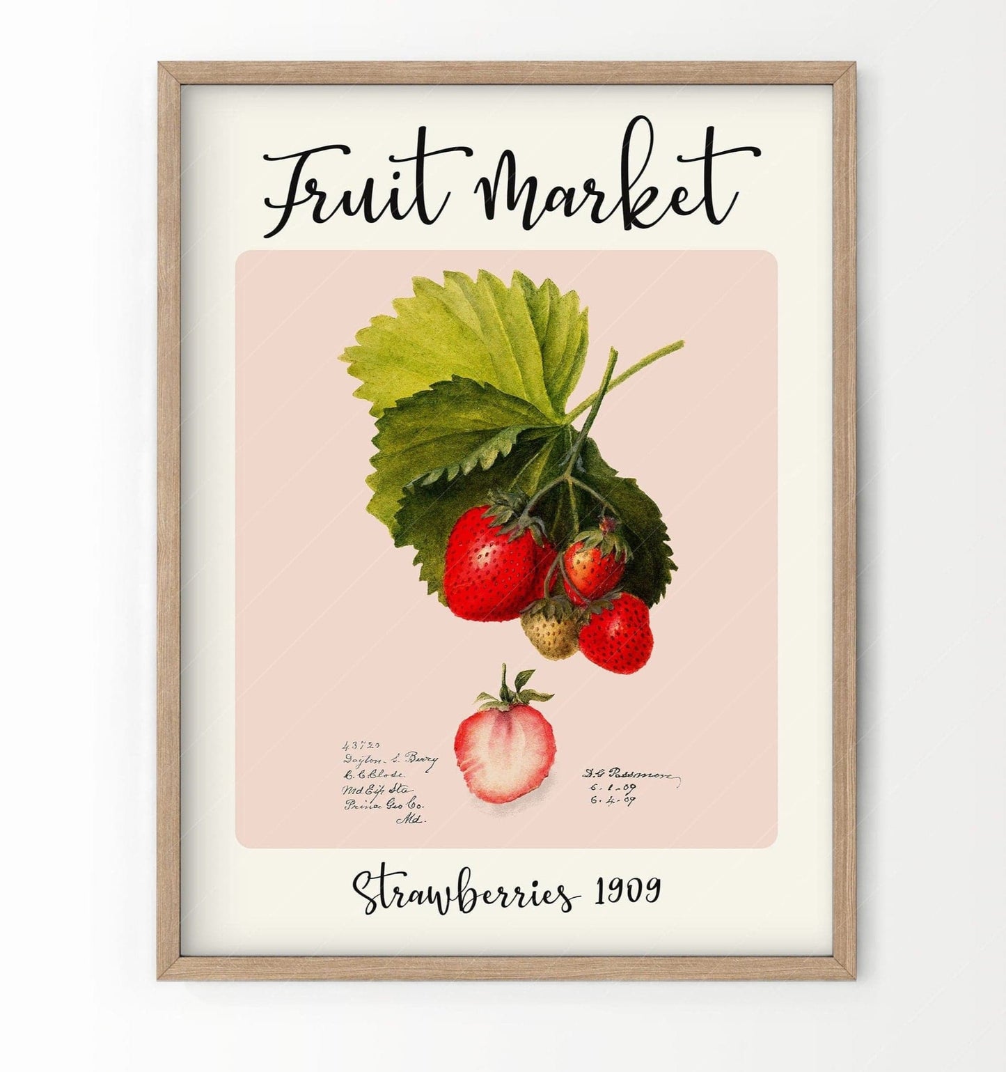 Fruit Market Print, Farmhouse Decor, Antique Strawberry Painting