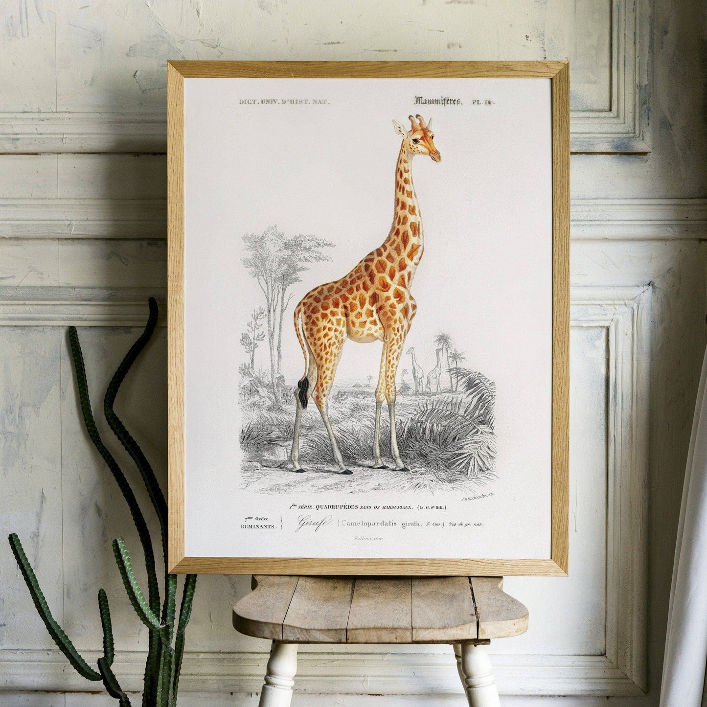 Giraffe Print, Vintage Animal Poster, Animal Print, Nursery Animals, Charles Dessalines, Vintage Giraffe Wall Art, High Quality Paper