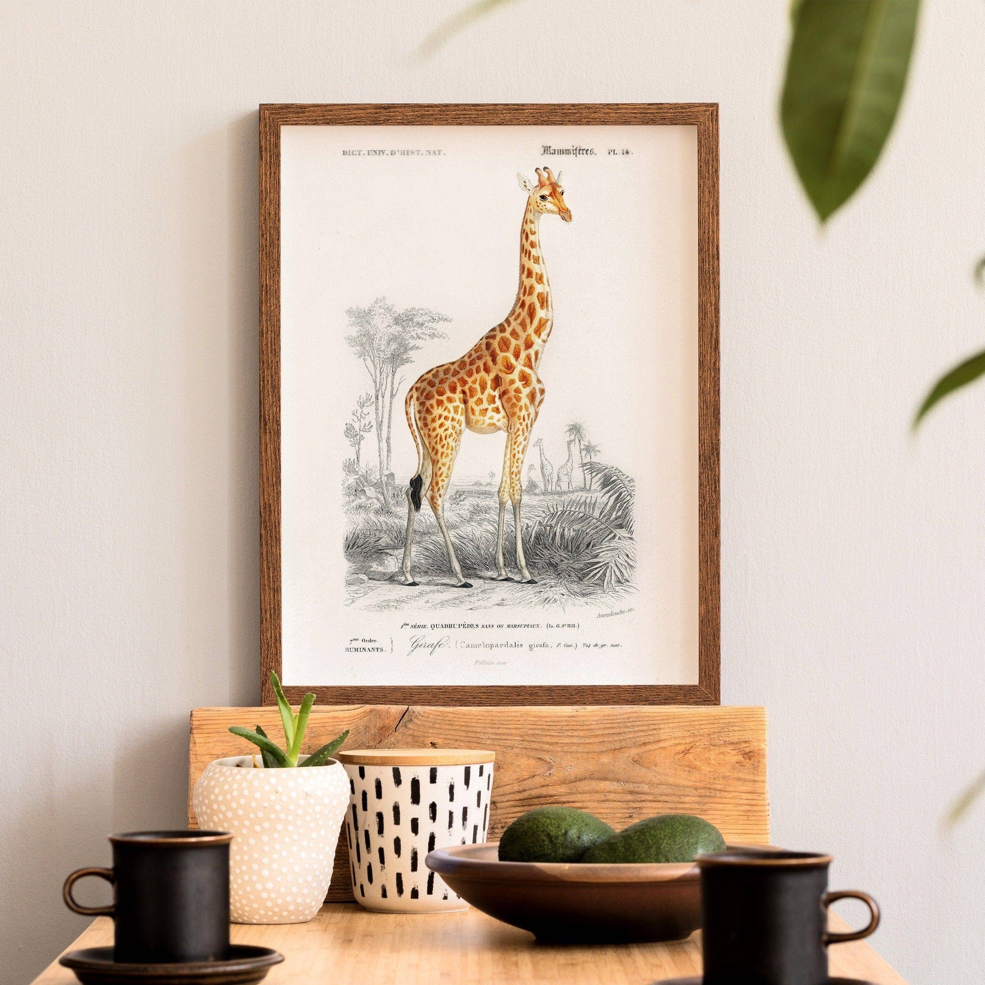 Giraffe Print, Vintage Animal Poster, Animal Print, Nursery Animals, Charles Dessalines, Vintage Giraffe Wall Art, High Quality Paper