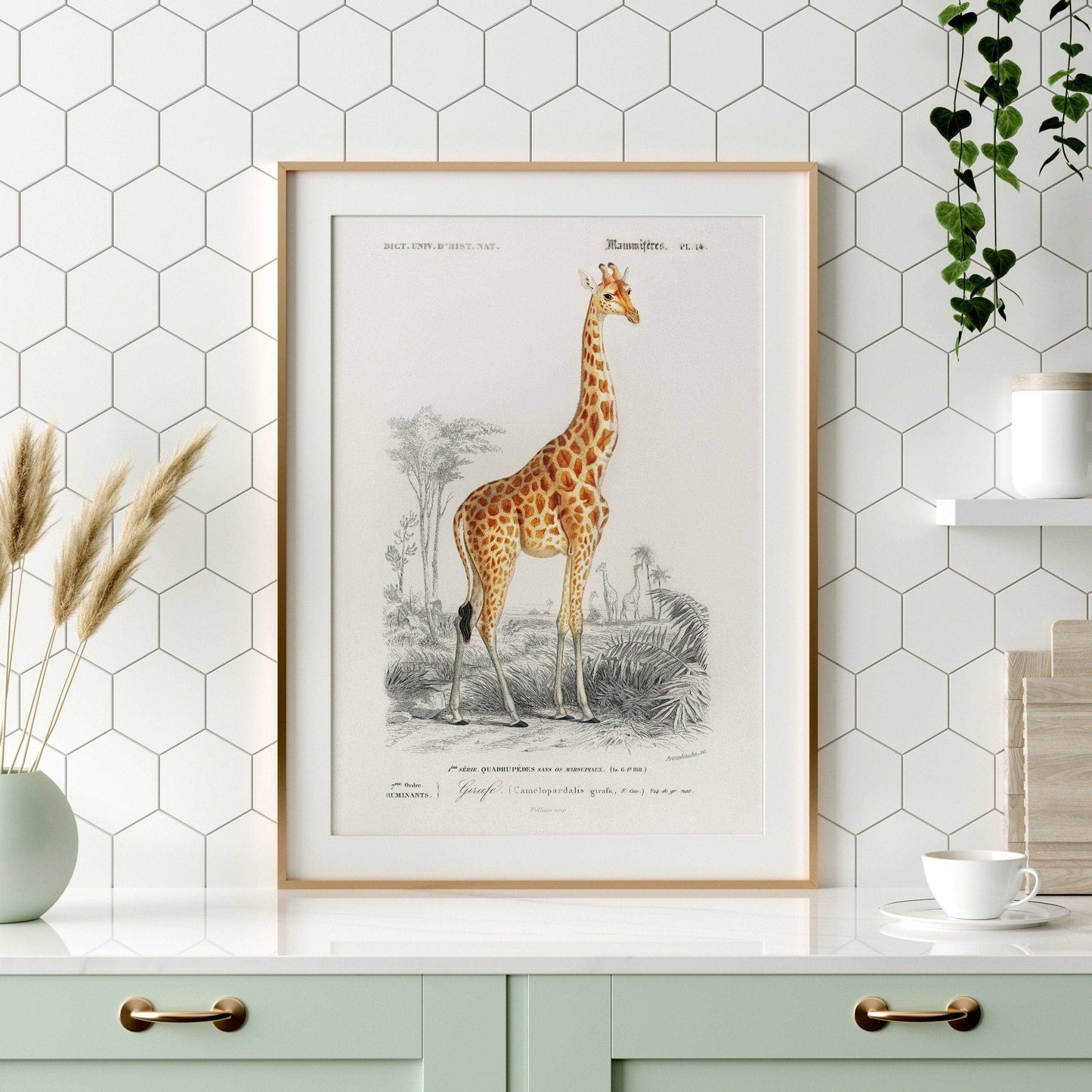 Giraffe Print, Vintage Animal Poster, Animal Print, Nursery Animals, Charles Dessalines, Vintage Giraffe Wall Art, High Quality Paper