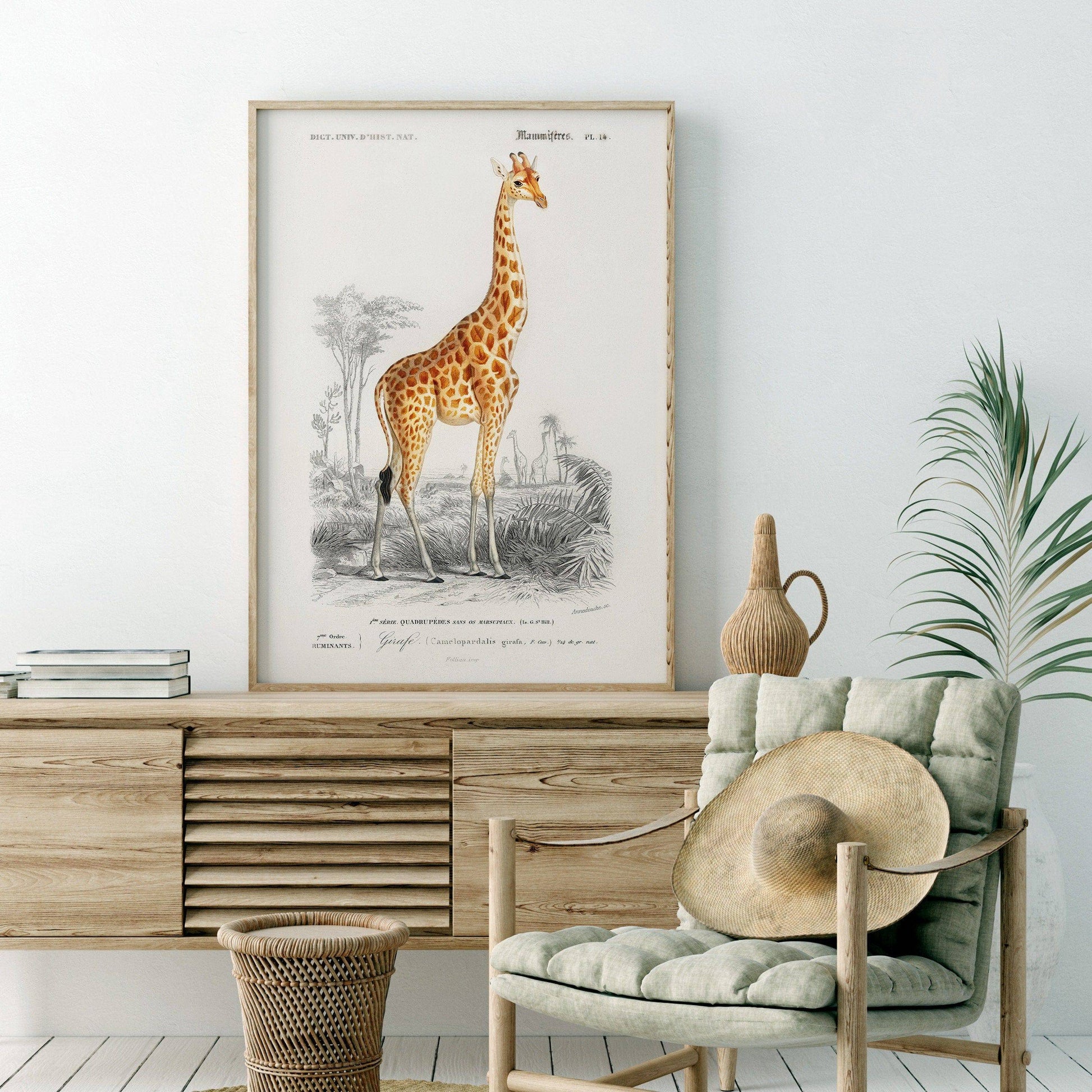 Giraffe Print, Vintage Animal Poster, Animal Print, Nursery Animals, Charles Dessalines, Vintage Giraffe Wall Art, High Quality Paper