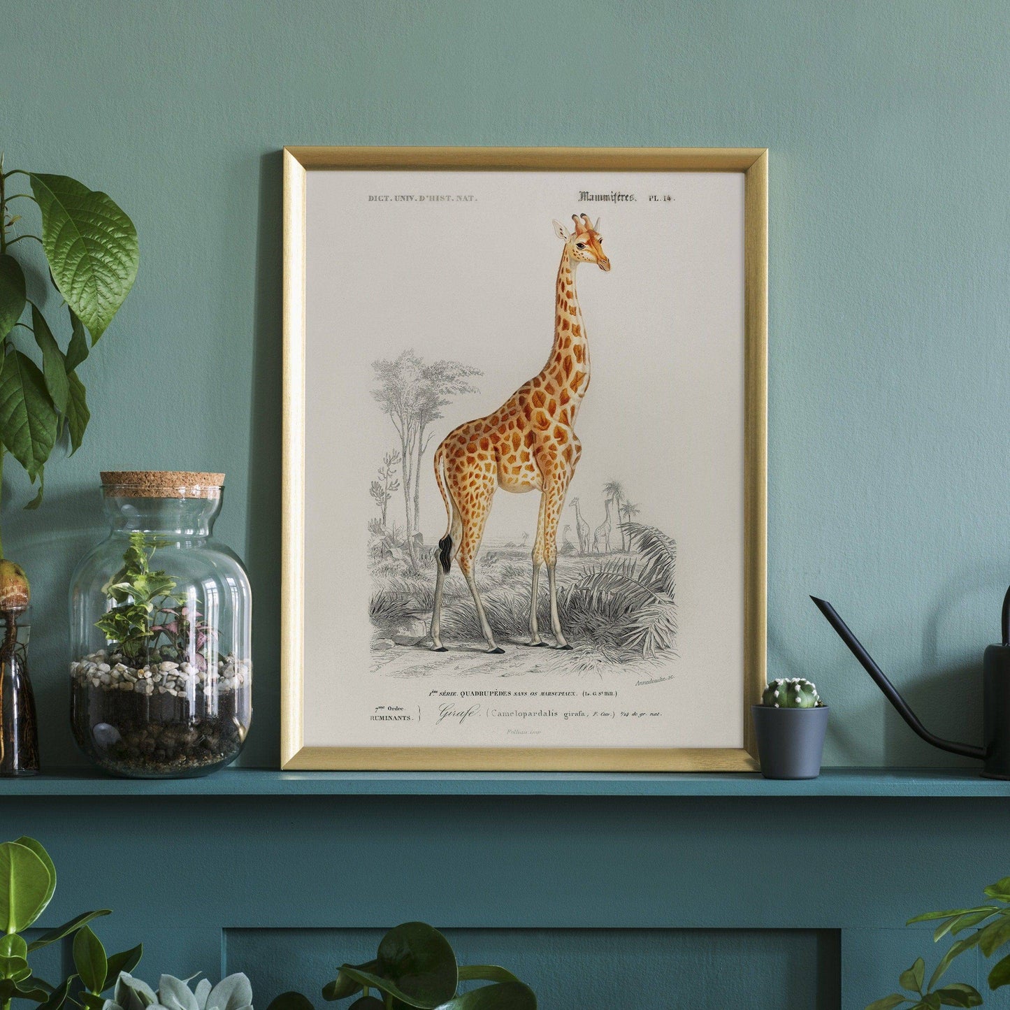 Giraffe Print, Vintage Animal Poster, Animal Print, Nursery Animals, Charles Dessalines, Vintage Giraffe Wall Art, High Quality Paper