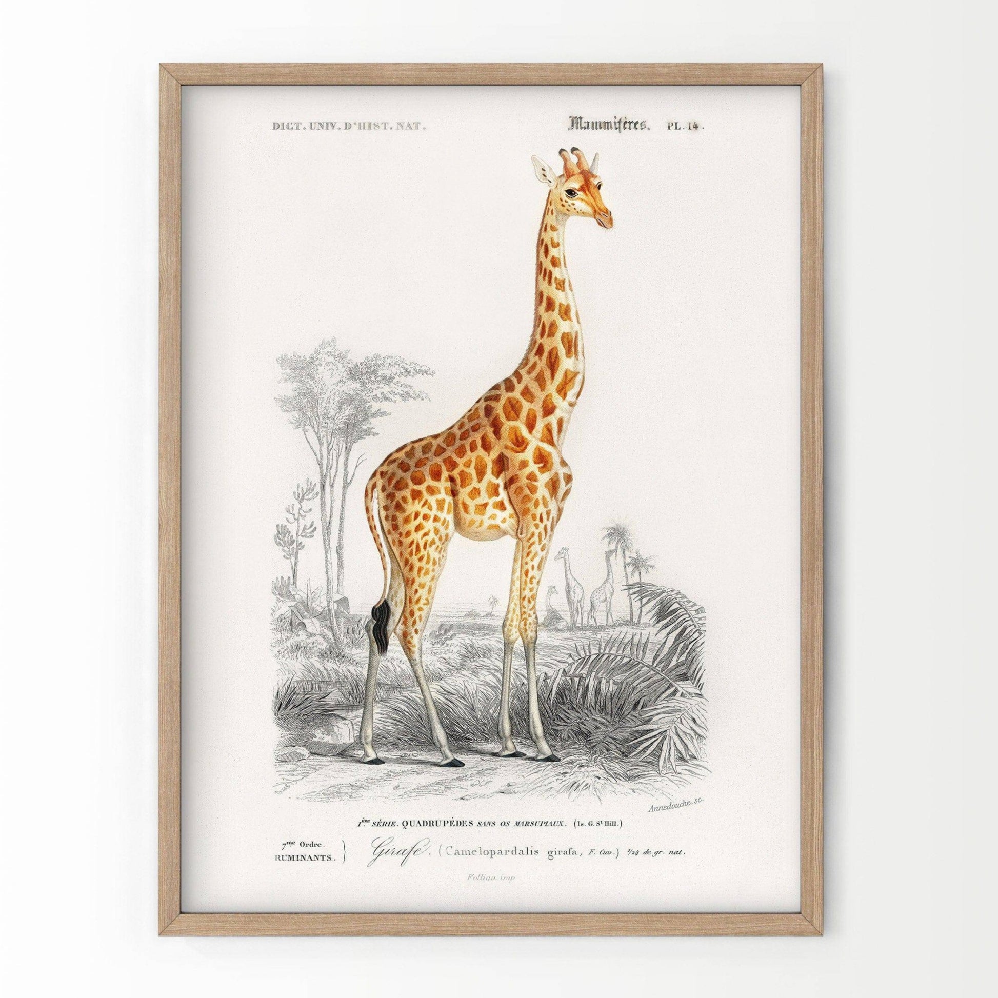 Giraffe Print, Vintage Animal Poster, Animal Print, Nursery Animals, Charles Dessalines, Vintage Giraffe Wall Art, High Quality Paper