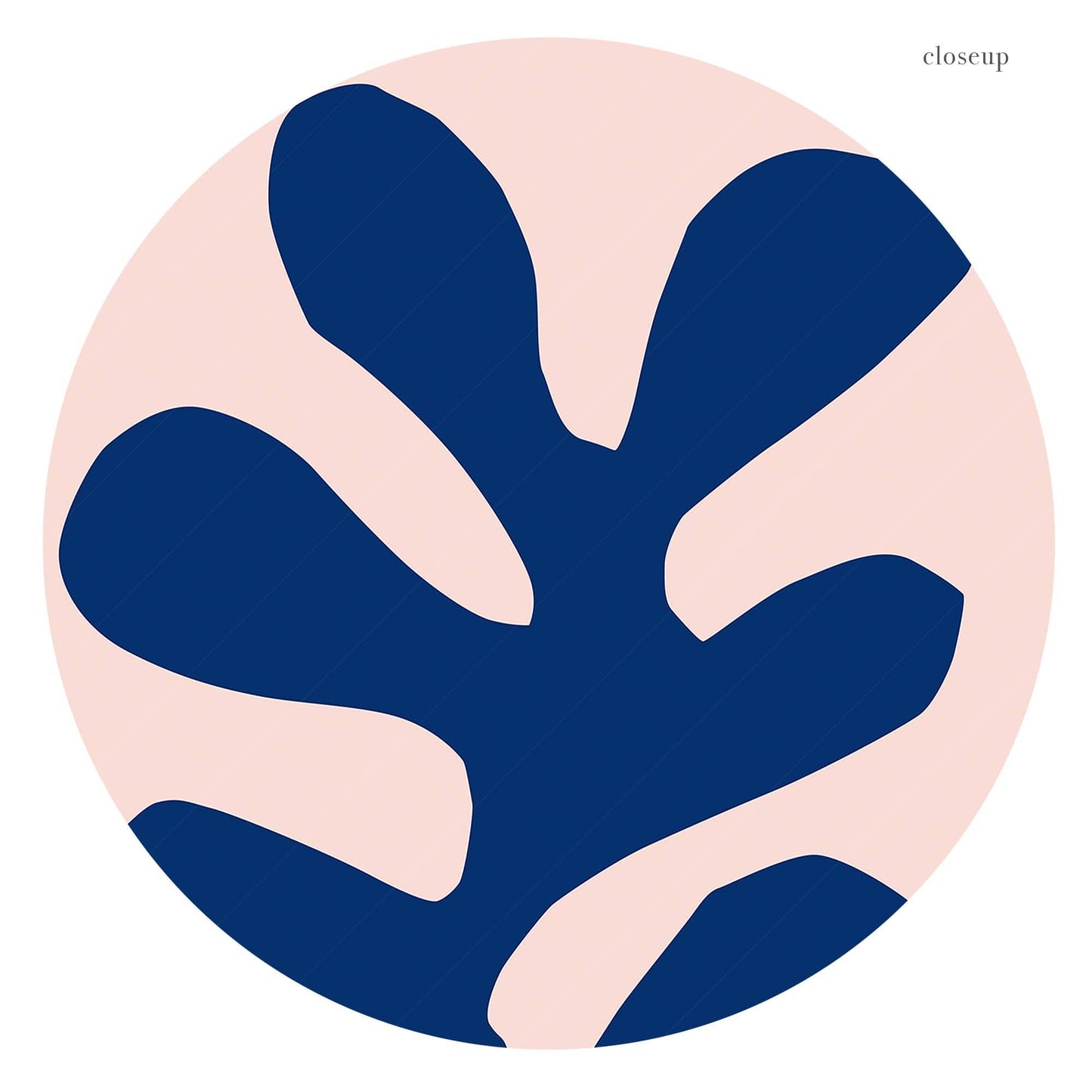 Henri Matisse, The Cut-outs Serie, Exhibition poster, Pink background and navy blue leaf