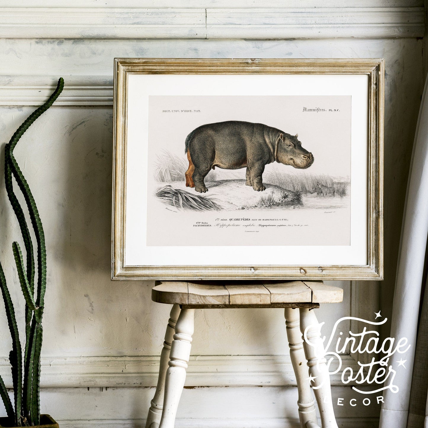 Hippopotamus Print Vintage Animal Safari Animal Hippo Vintage Nursery Animal Wall Art, High Quality Paper, up to 24"x36"