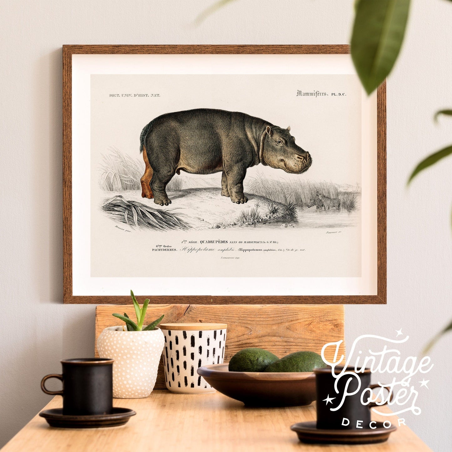 Hippopotamus Print Vintage Animal Safari Animal Hippo Vintage Nursery Animal Wall Art, High Quality Paper, up to 24"x36"