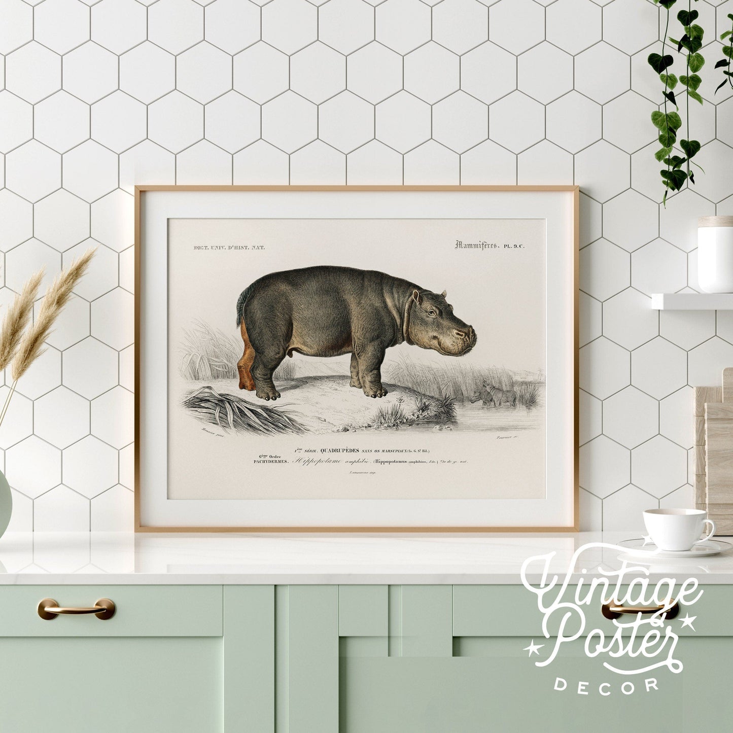 Hippopotamus Print Vintage Animal Safari Animal Hippo Vintage Nursery Animal Wall Art, High Quality Paper, up to 24"x36"